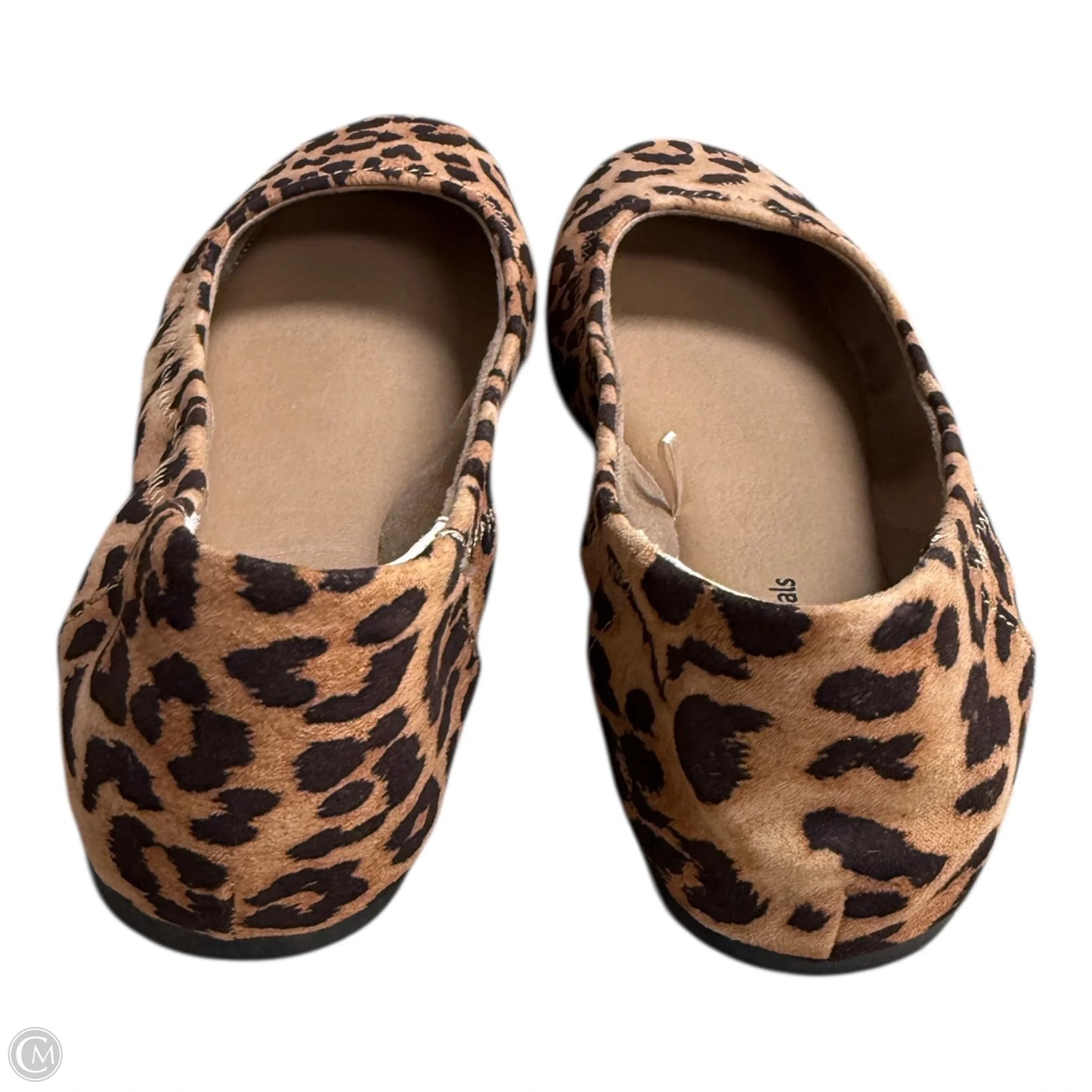 Shoes Flats By Amazon Essentials In Animal Print, Size: 7