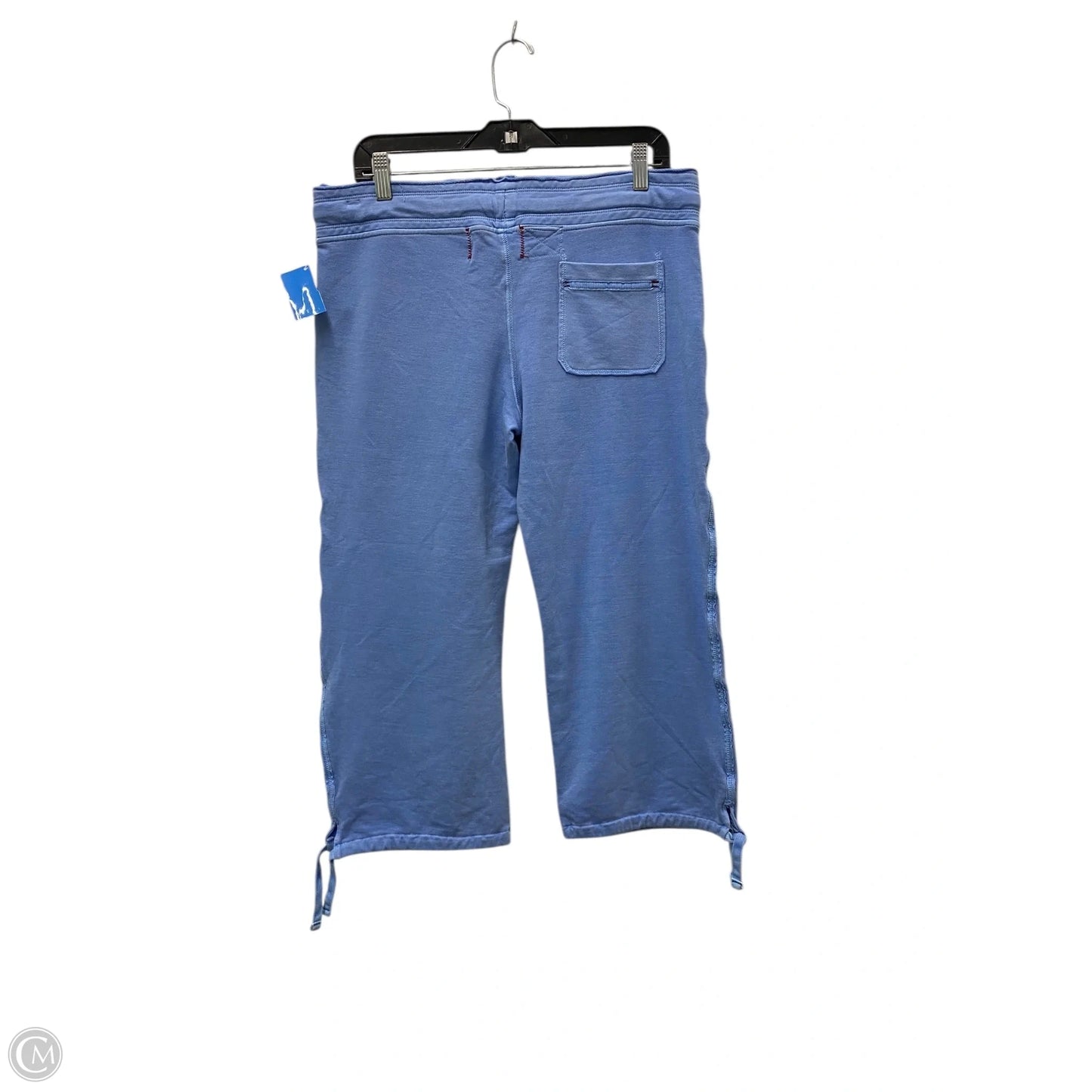 Athletic Capris By Gap In Blue, Size: M