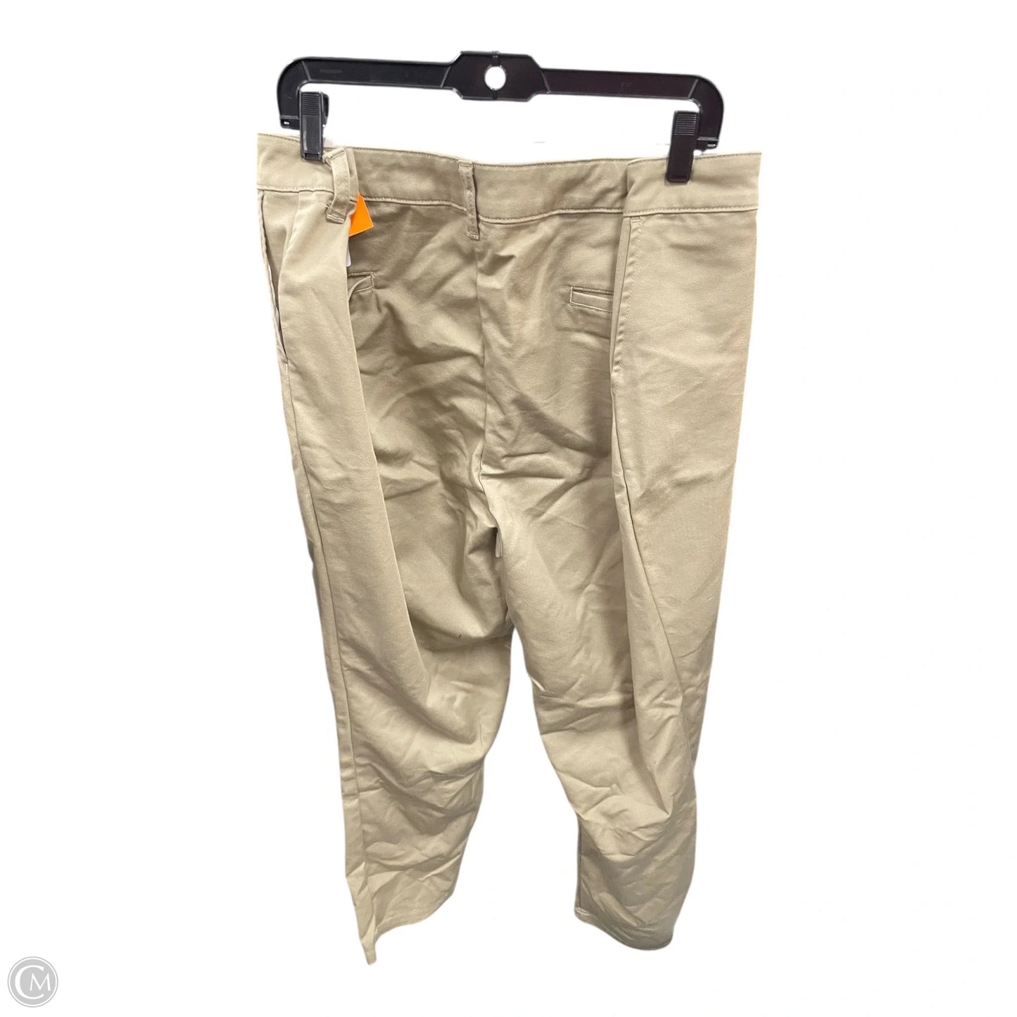 Pants Chinos & Khakis By Dickies In Tan, Size: 3x