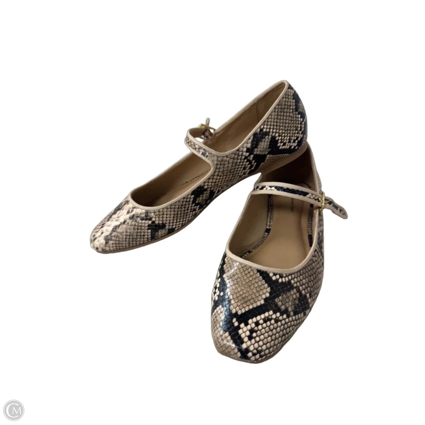 Shoes Flats By Time And Tru In Snakeskin Print, Size: 9.5