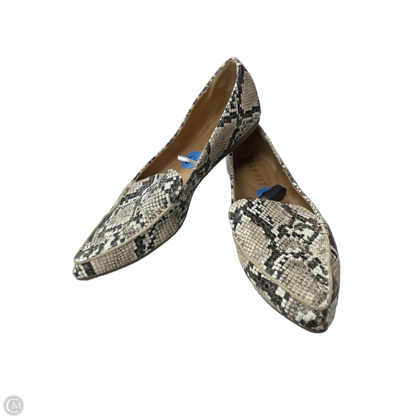 Shoes Flats By Esprit In Snakeskin Print, Size: 6.5