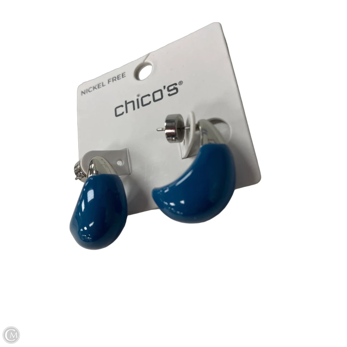 Earrings Hoop By Chicos