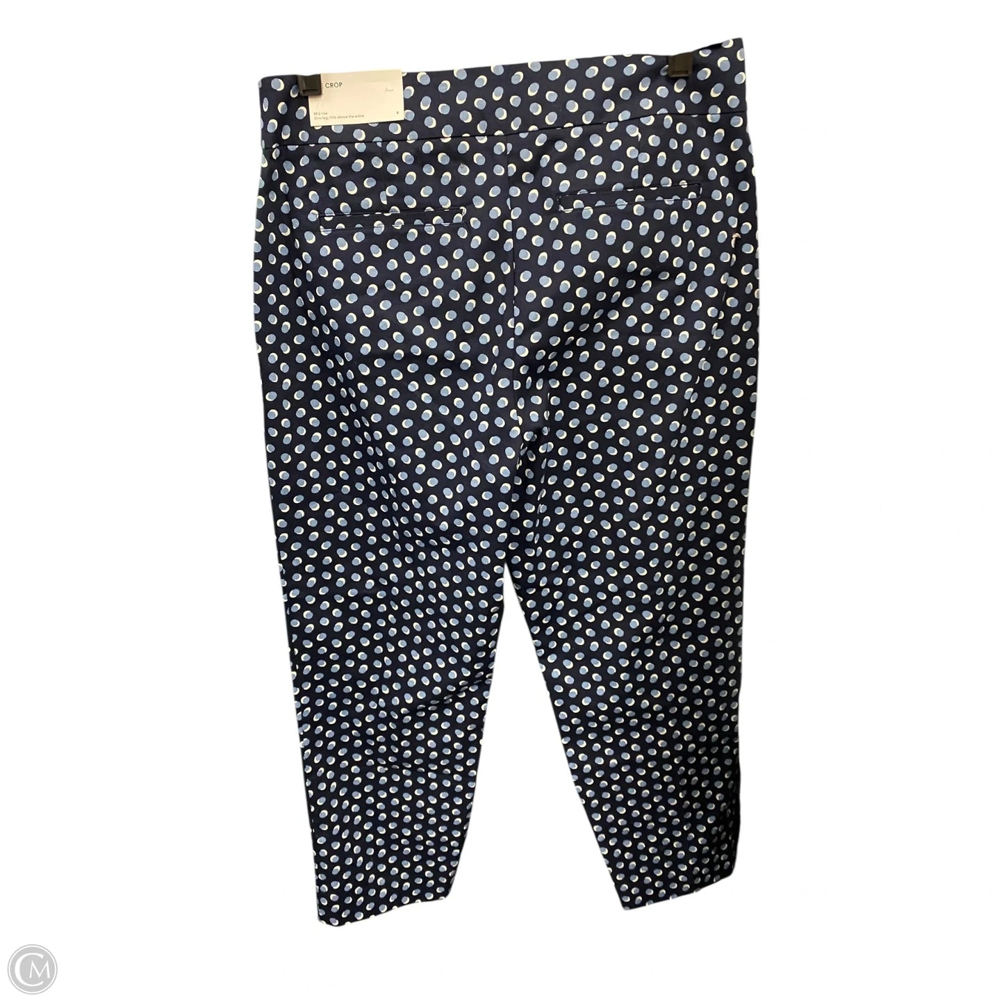 Pants Corduroy By Ann Taylor In Polkadot Pattern, Size: 6