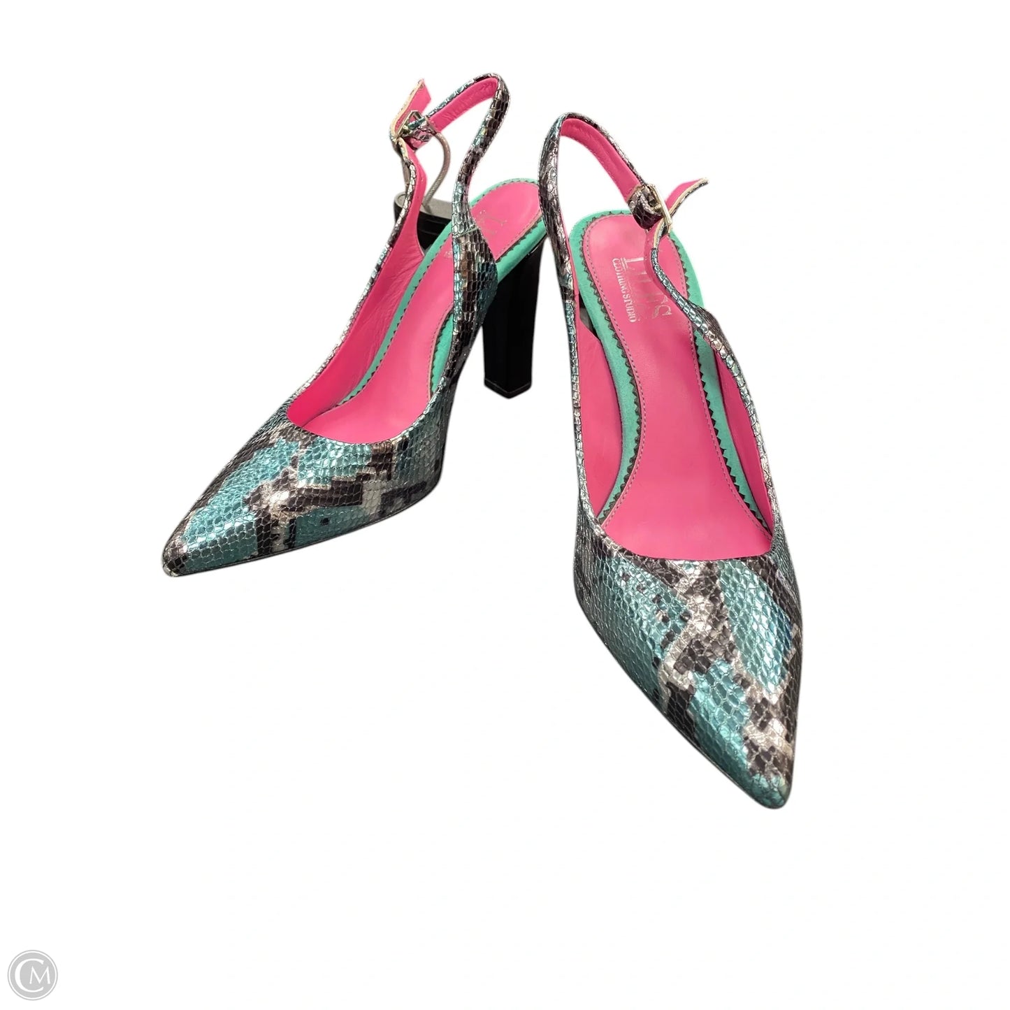 Shoes Heels Stiletto By Cmb In Snakeskin Print, Size: 6