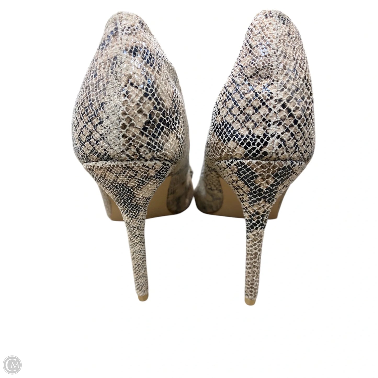 Shoes Heels Stiletto By Cape Cod In Snakeskin Print, Size: 8.5