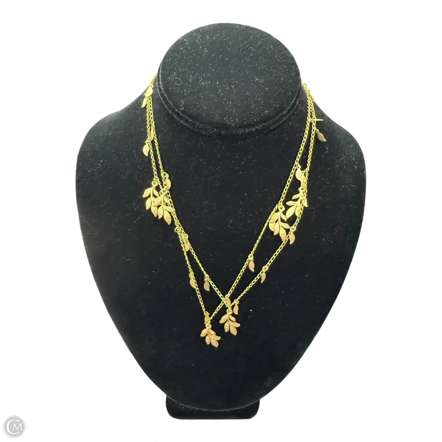 Necklace Chain By Clothes Mentor