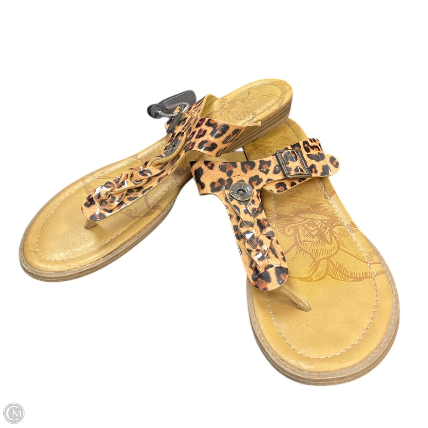 Sandals Flip Flops By Blowfish In Animal Print, Size: 10