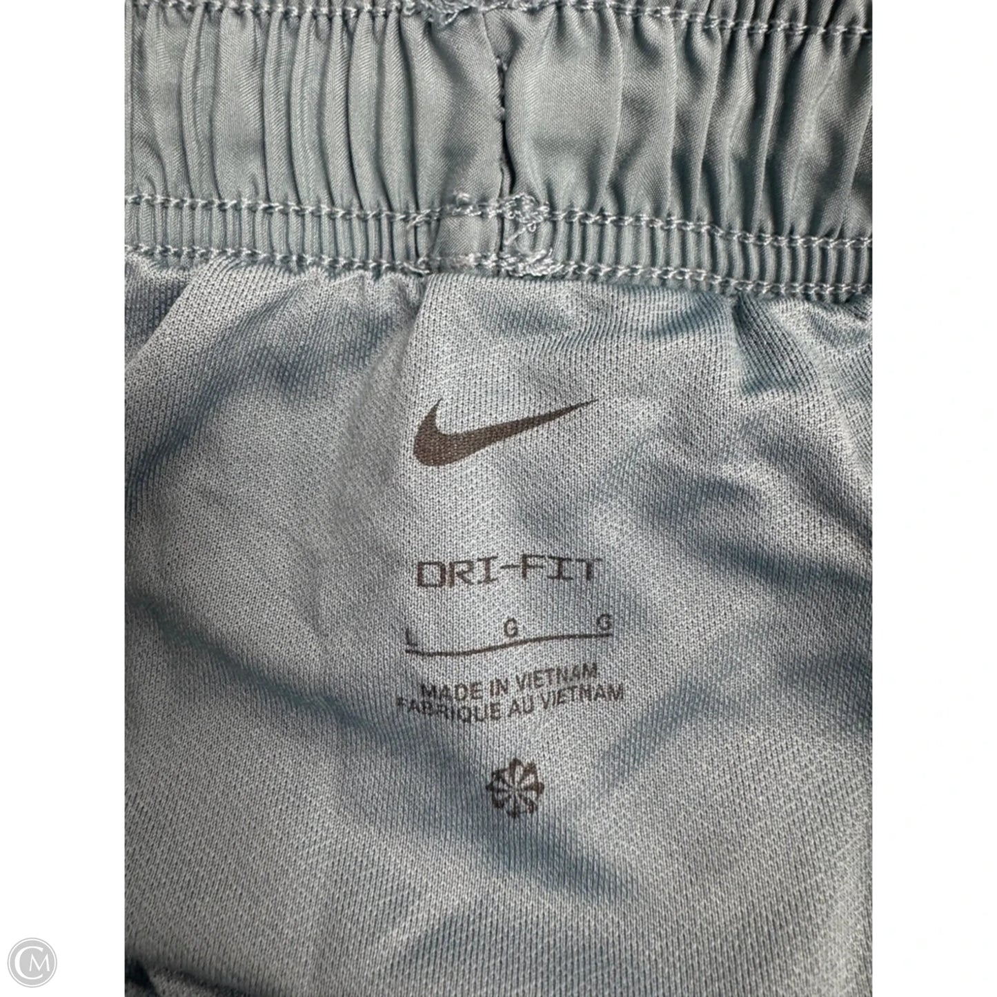 Athletic Shorts By Nike Apparel In Blue, Size: L