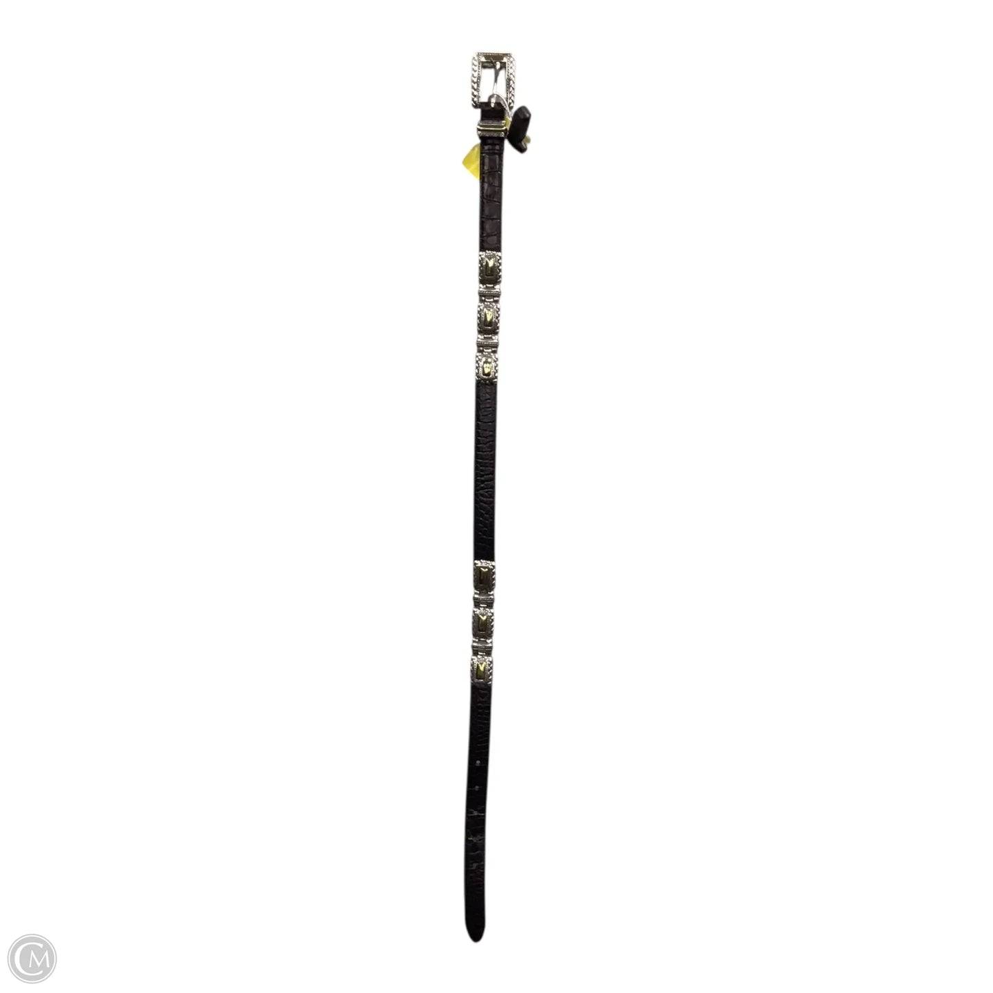 Belt By Brighton
