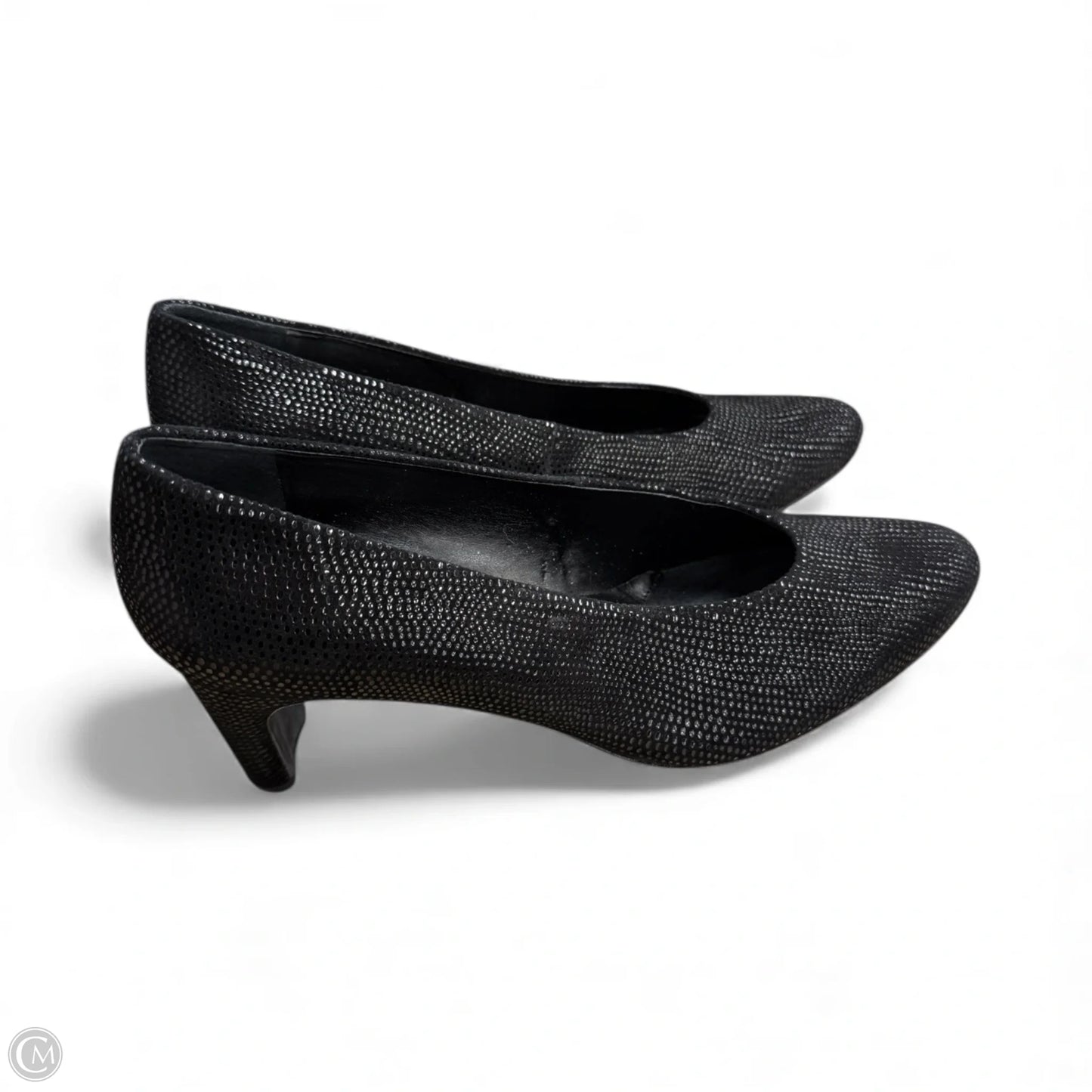 Shoes Heels Block By Vaneli In Black, Size: 11