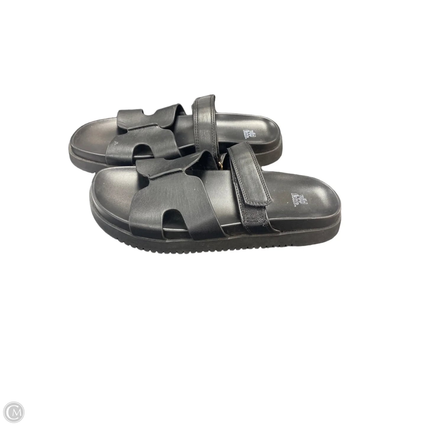 Sandals Flats By Wild Fable In Black, Size: 8