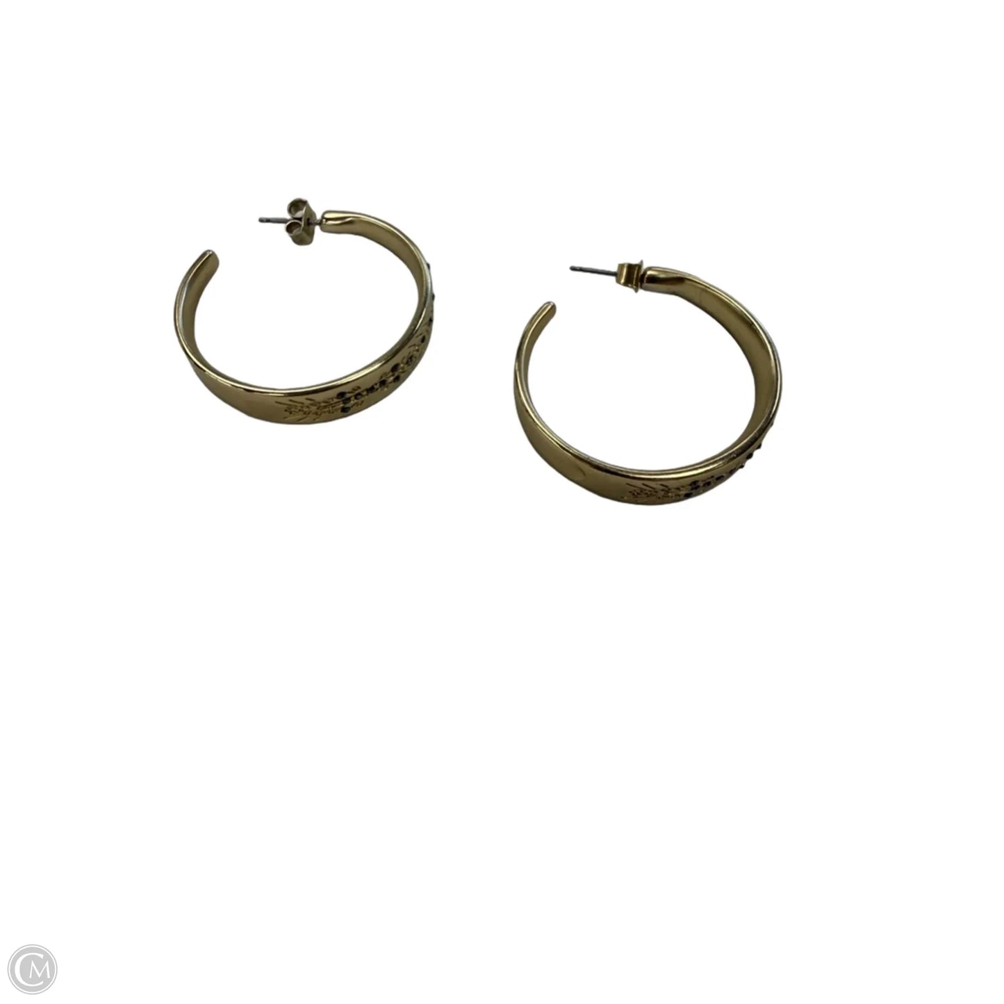 Earrings Hoop By Clothes Mentor