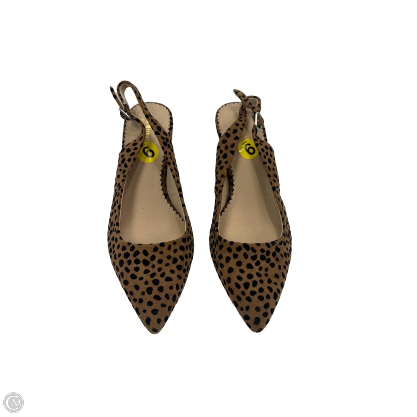 Shoes Heels Kitten By Isaac Mizrahi In Animal Print, Size: 9