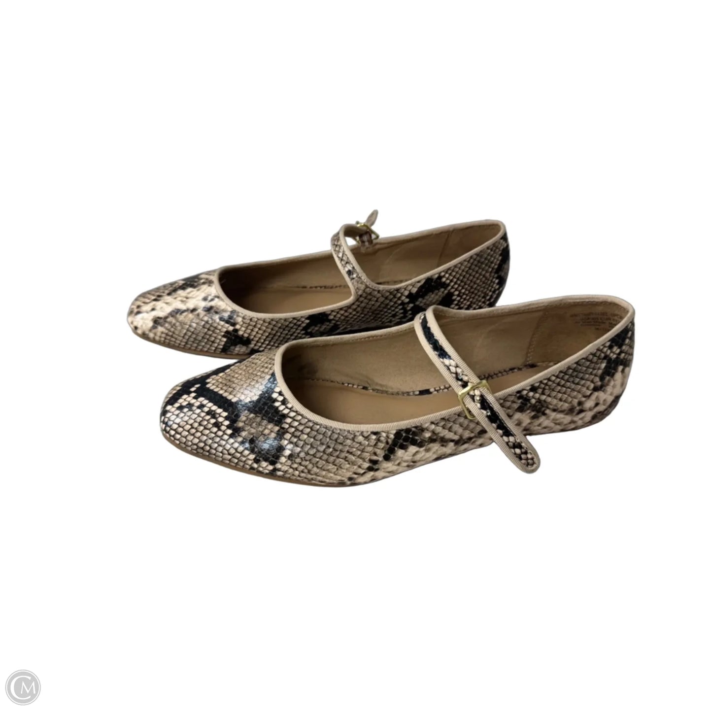 Shoes Flats By Time And Tru In Snakeskin Print, Size: 9.5