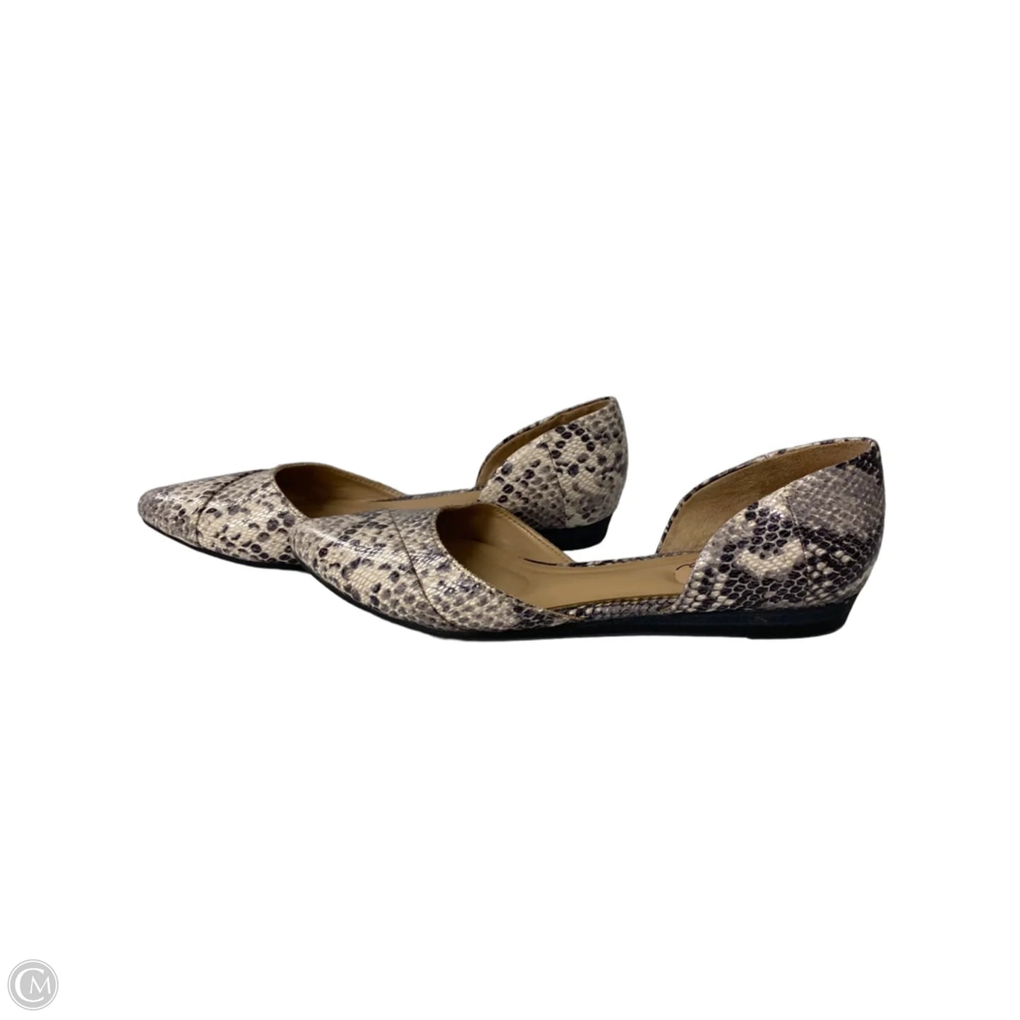 Shoes Flats By Abella In Snakeskin Print, Size: 7