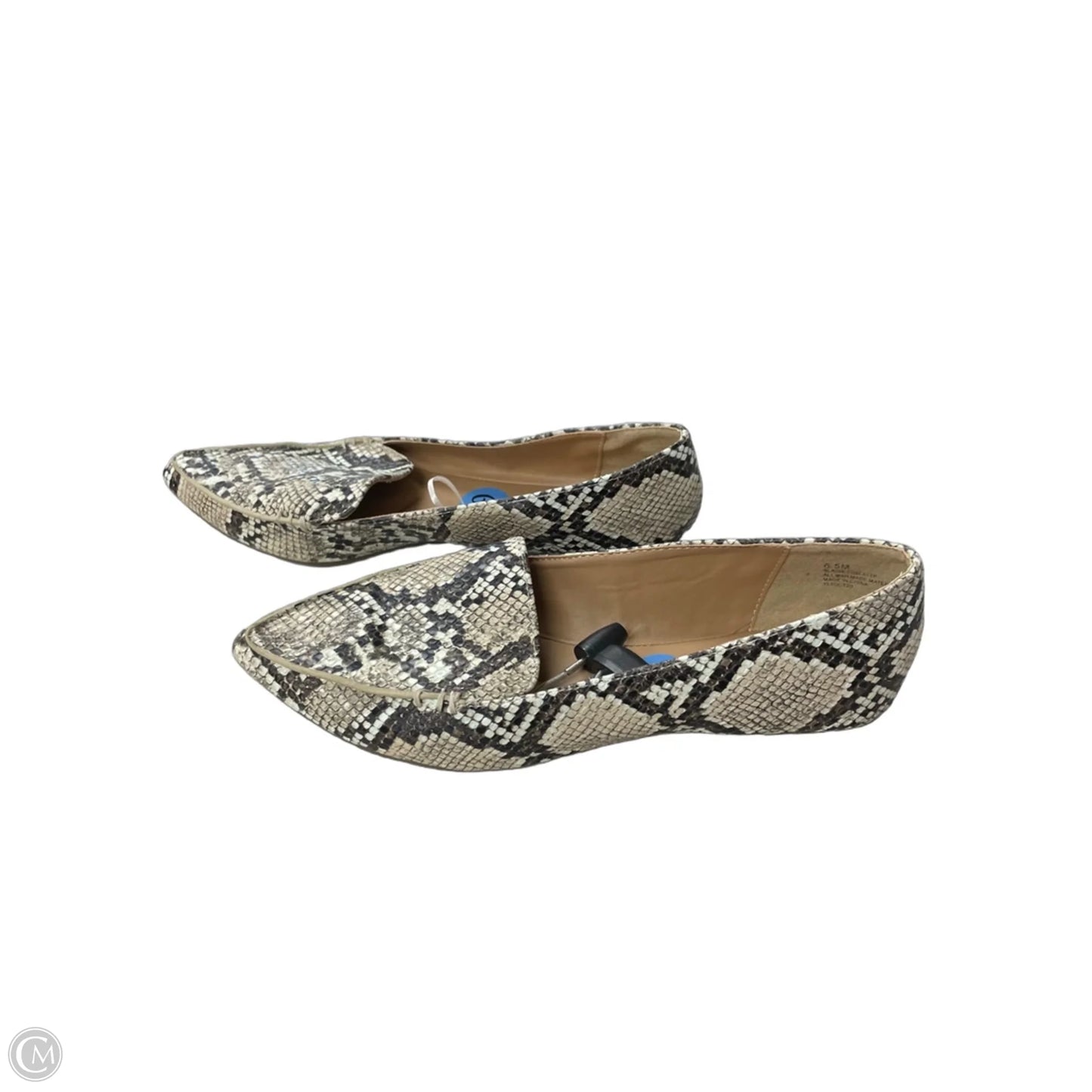 Shoes Flats By Esprit In Snakeskin Print, Size: 6.5