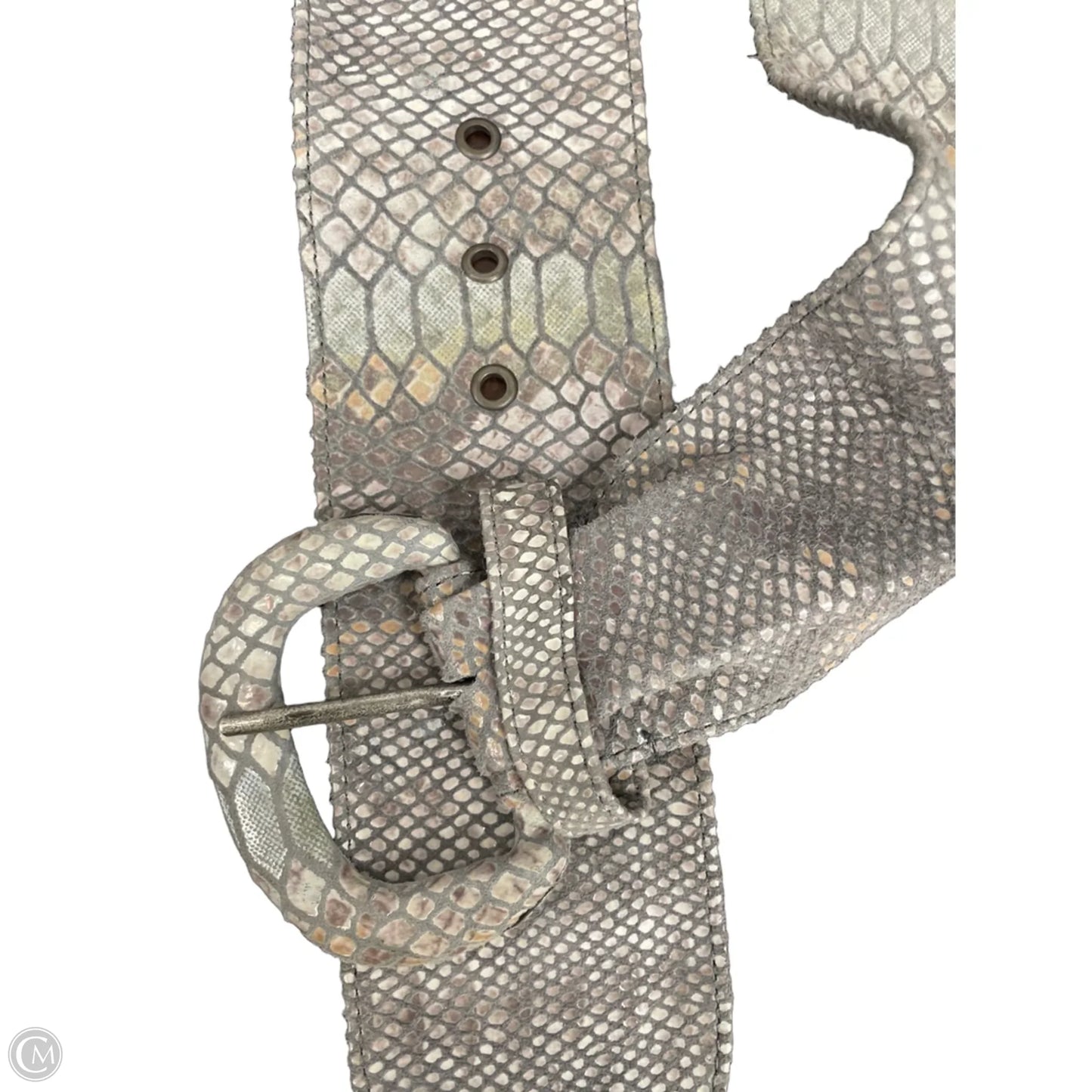 Belt By Clothes Mentor, Size: