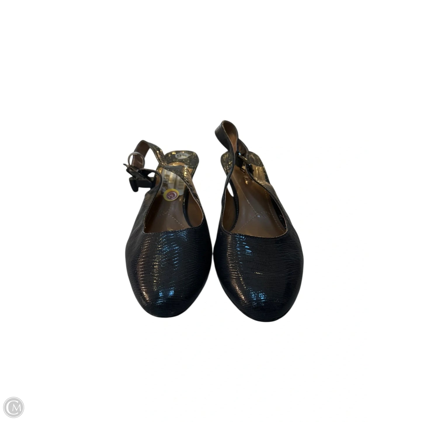 Shoes Heels Kitten By J Renee In Blue, Size: 9.5