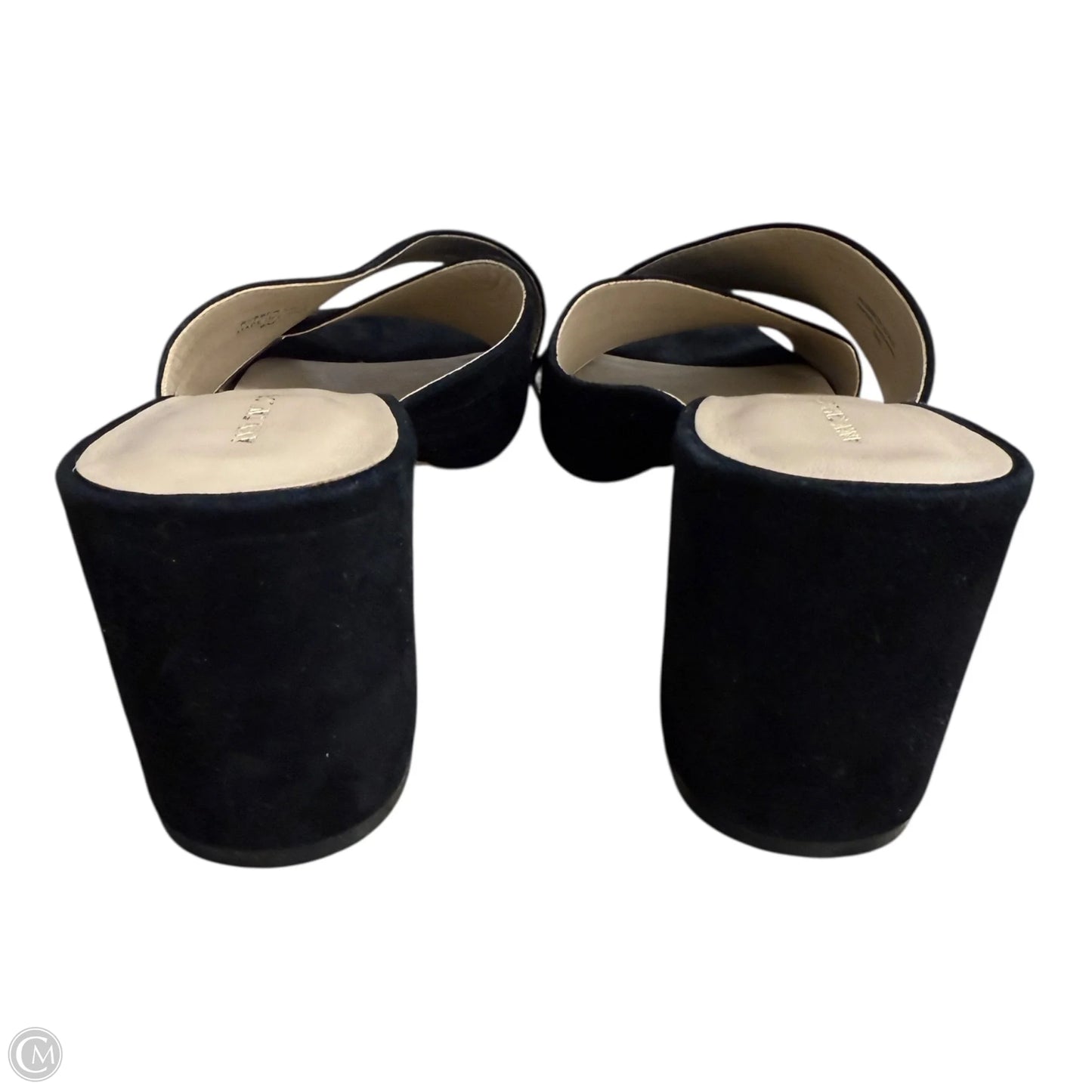 Shoes Heels Block By Ann Taylor In Black, Size: 9