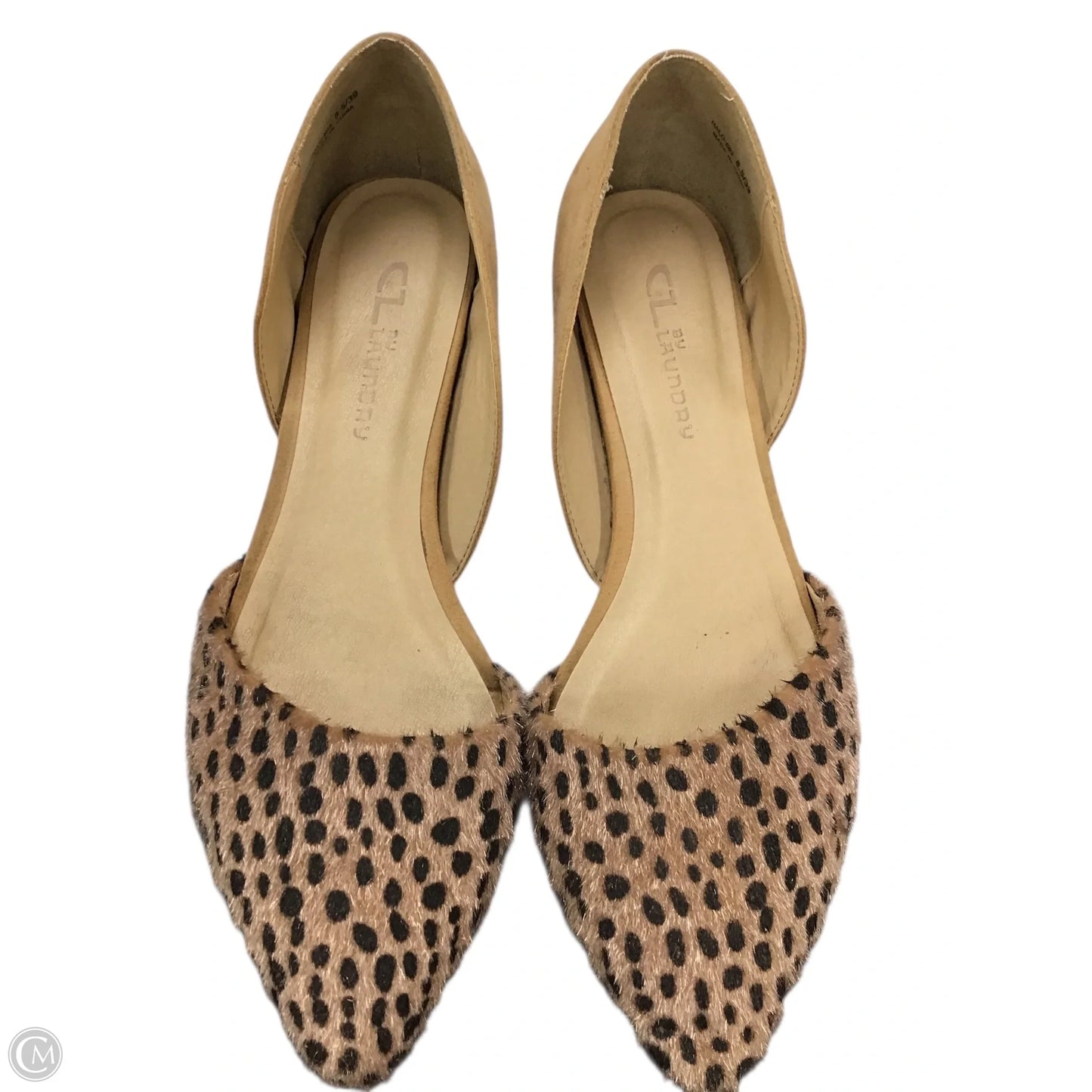 Shoes Flats By Chinese Laundry In Animal Print, Size: 8.5
