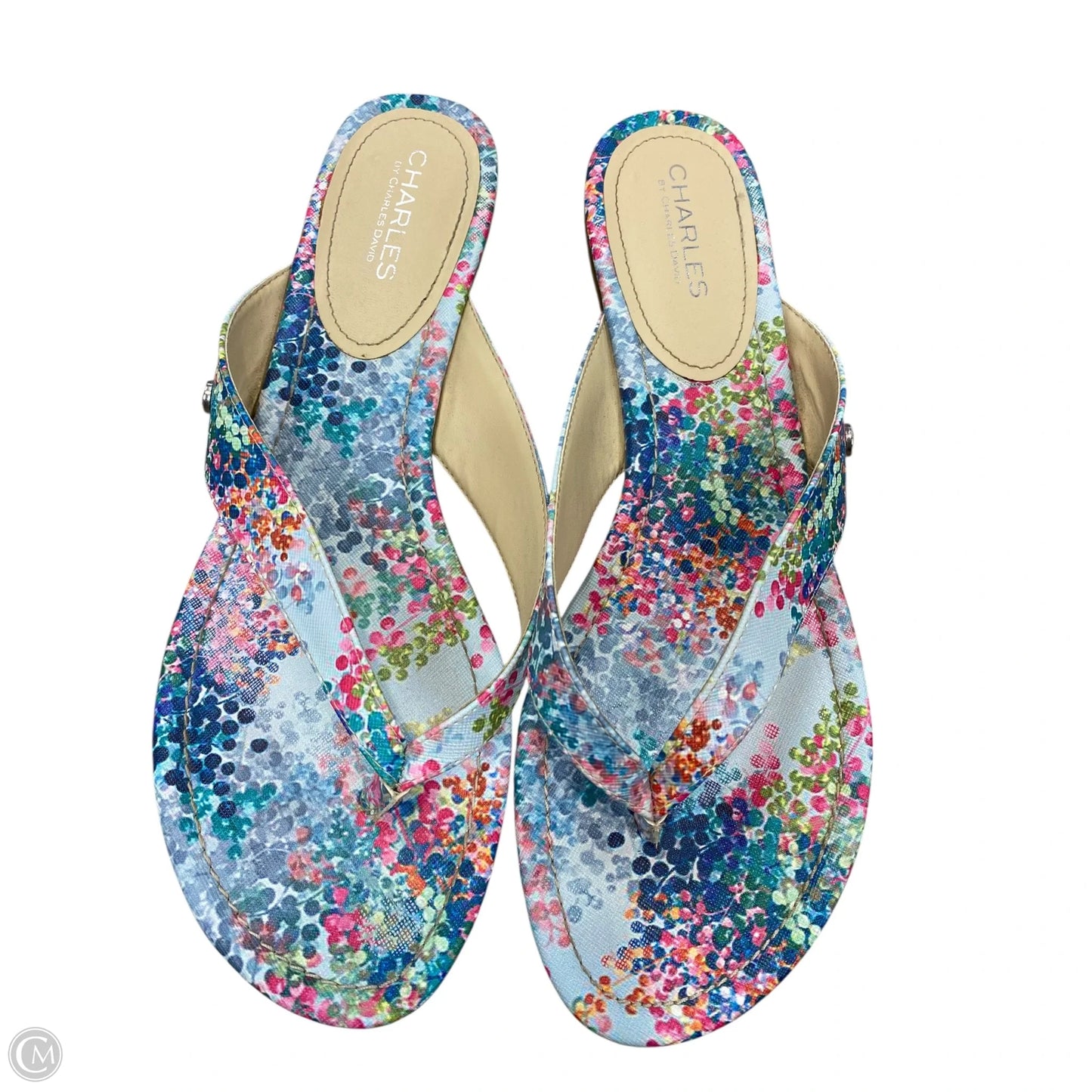 Sandals Flip Flops By Charles David In Floral Print, Size: 11