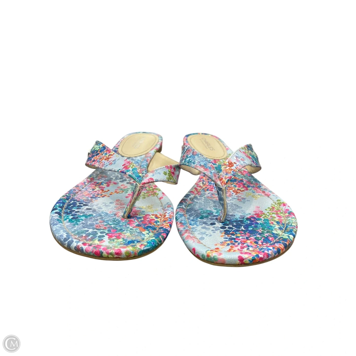 Sandals Flip Flops By Charles David In Floral Print, Size: 11