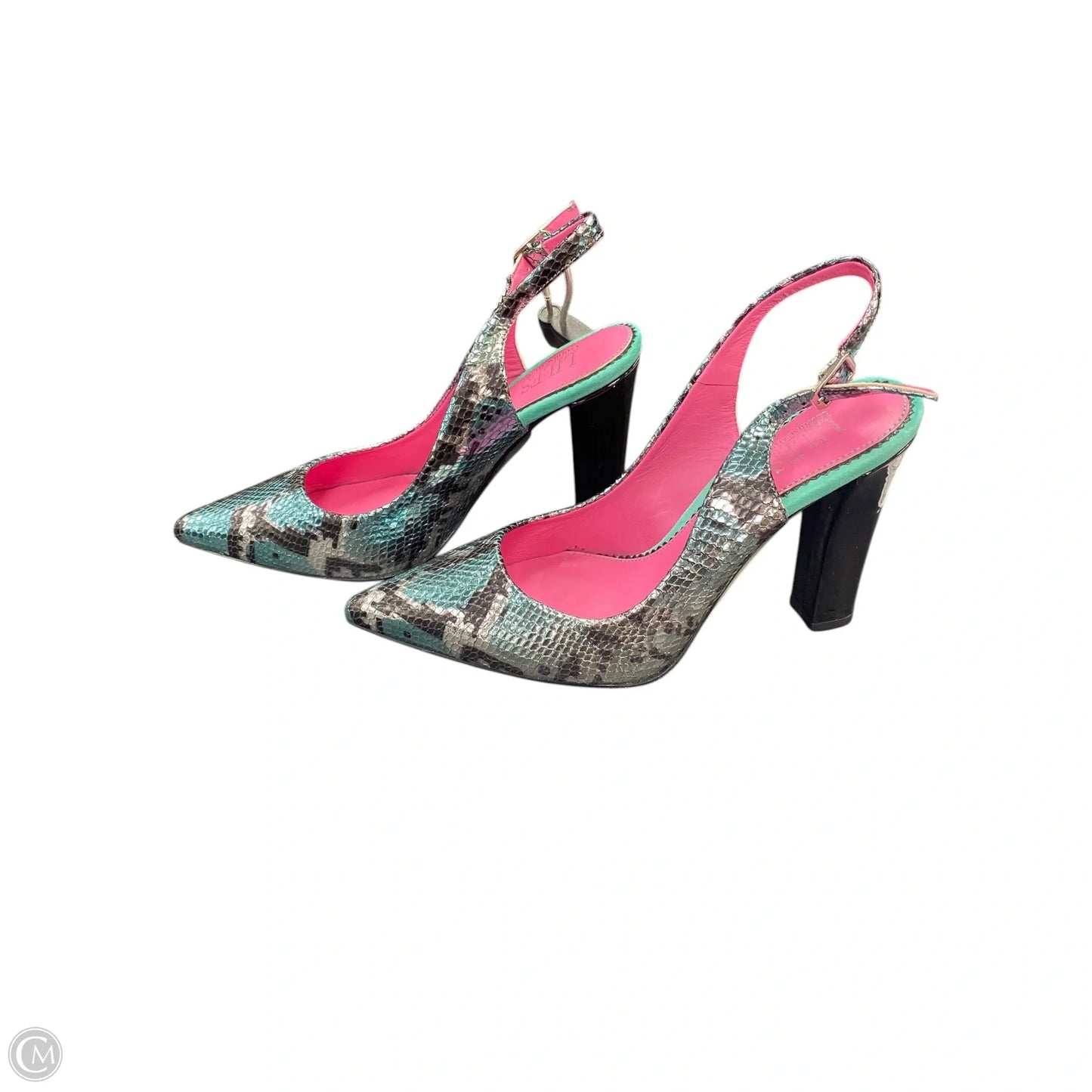 Shoes Heels Stiletto By Cmb In Snakeskin Print, Size: 6