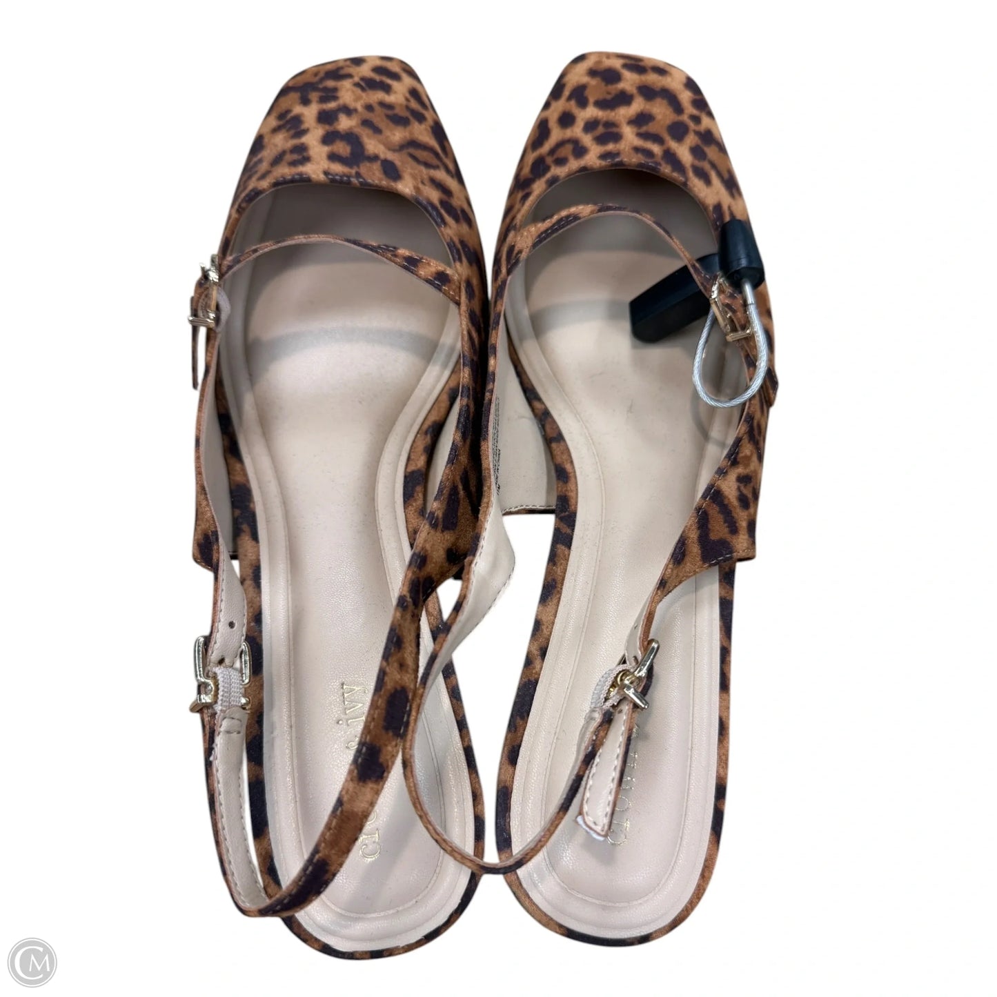 Shoes Heels Kitten By Crown And Ivy In Animal Print, Size: 11