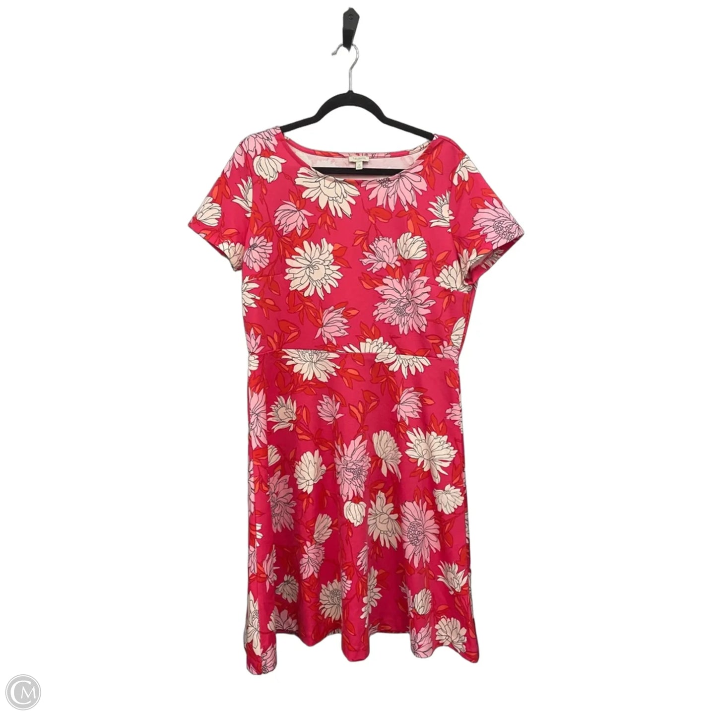 Dress Casual Short By Talbots In Floral Print, Size: 14