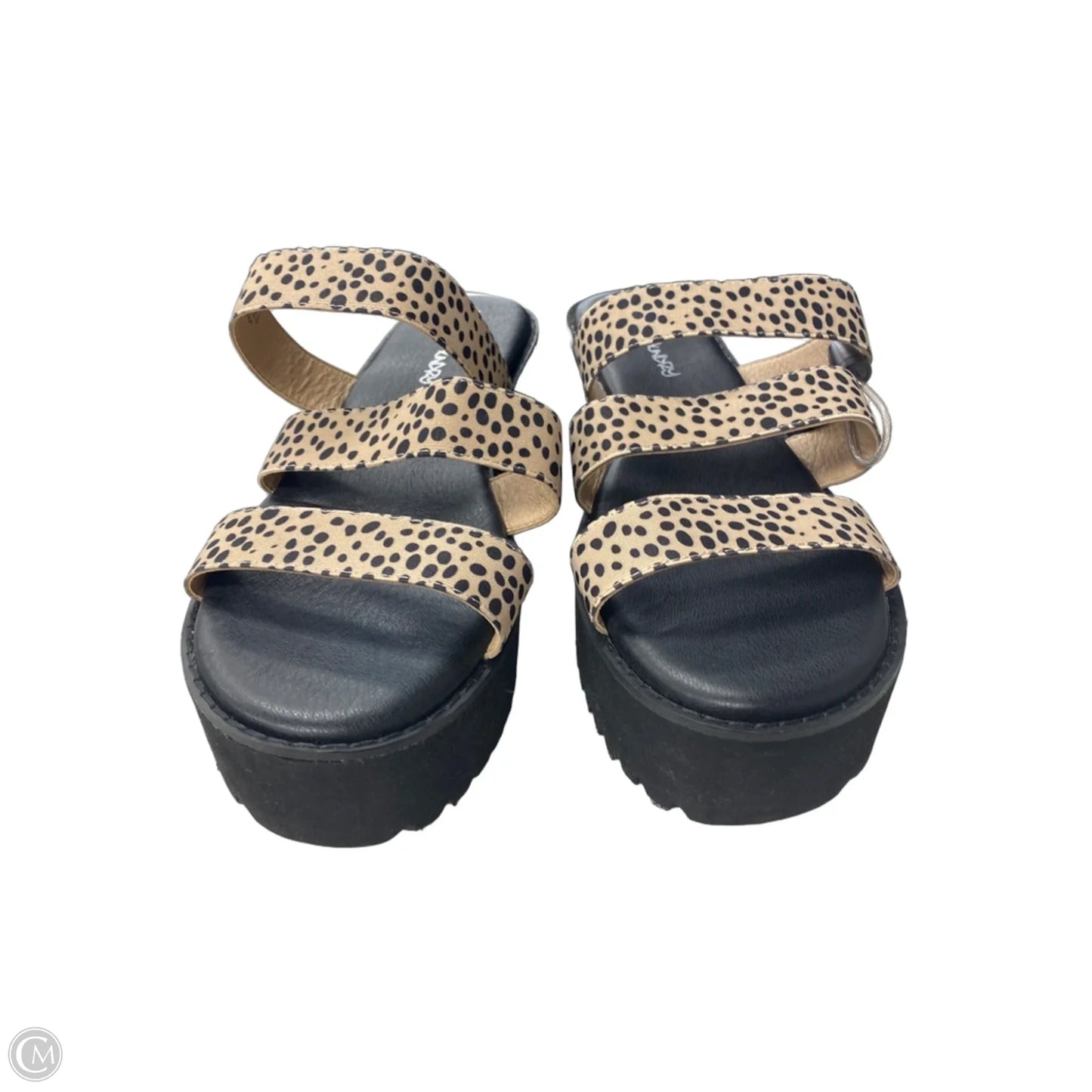 Sandals Heels Platform By Dirty Laundry In Black & Tan, Size: 11