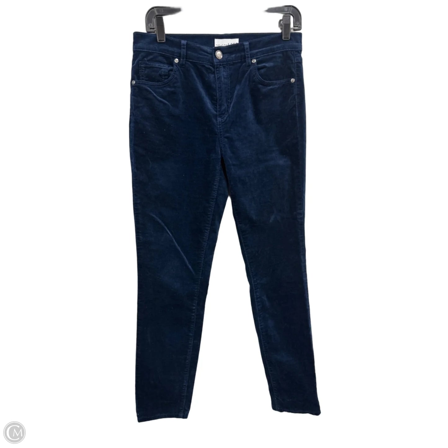 Pants Other By Loft In Navy, Size: 4