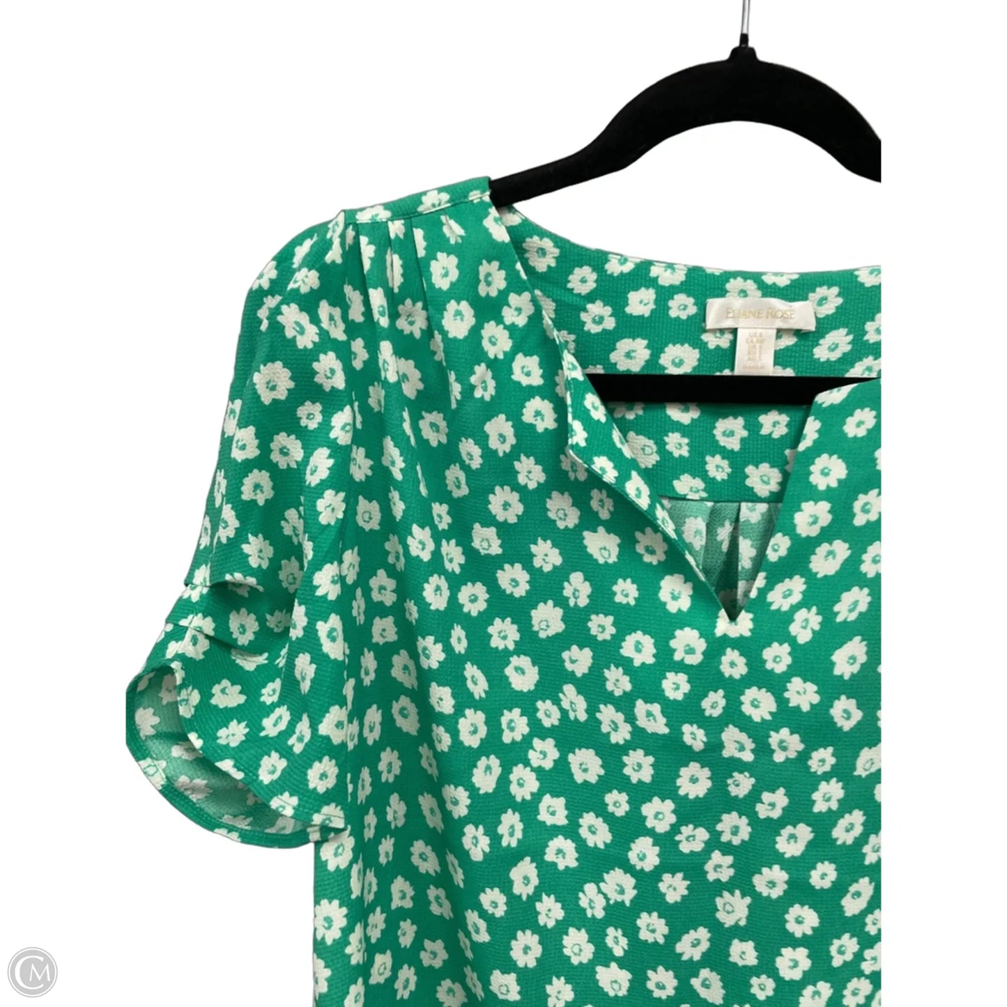 Top Short Sleeve By Eliane Rose In Green & White, Size: S