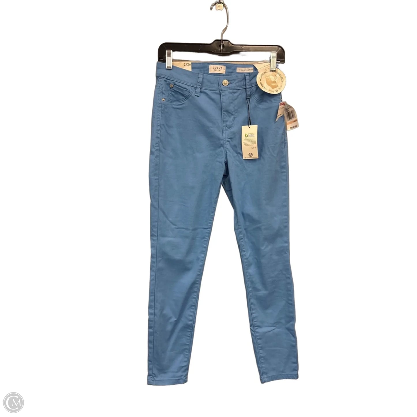 Jeans Jeggings By Curve Appeal In Blue, Size: 2