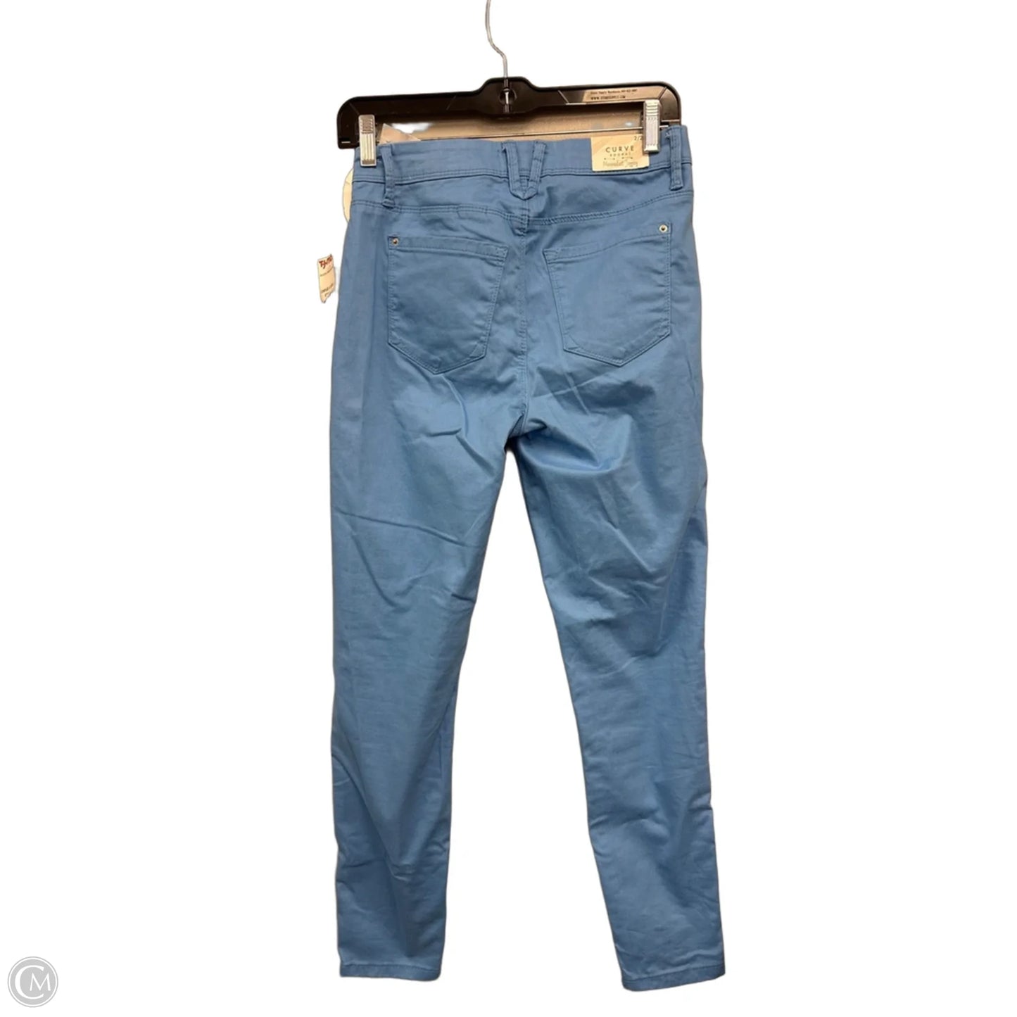 Jeans Jeggings By Curve Appeal In Blue, Size: 2