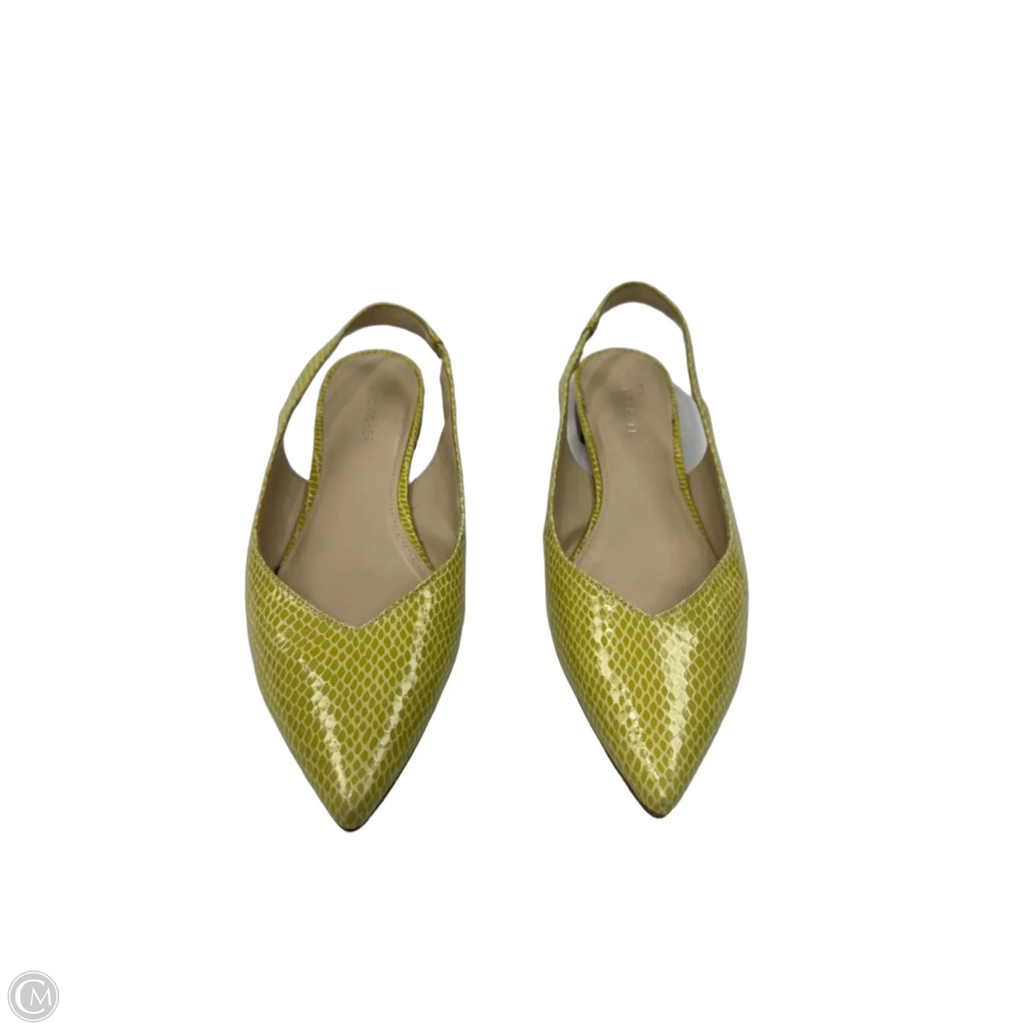 Shoes Flats By Marc Fisher In Green, Size: 8