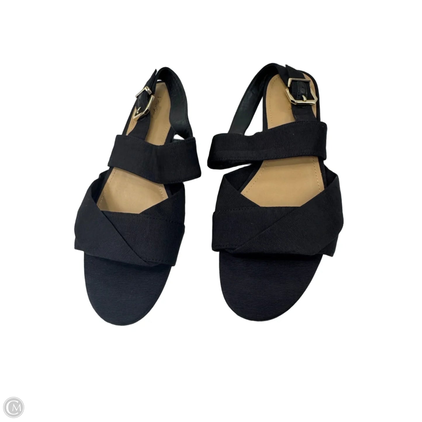 Sandals Flats By Cmb In Black, Size: 8.5