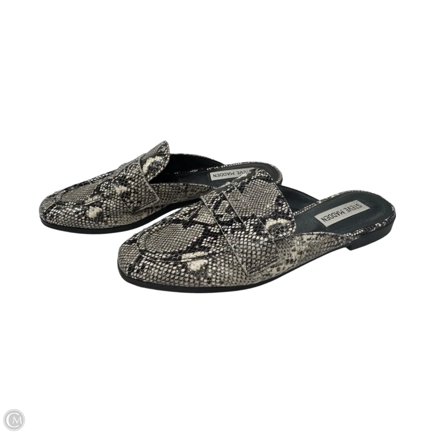 Shoes Flats By Steve Madden In Black & Cream, Size: 7.5
