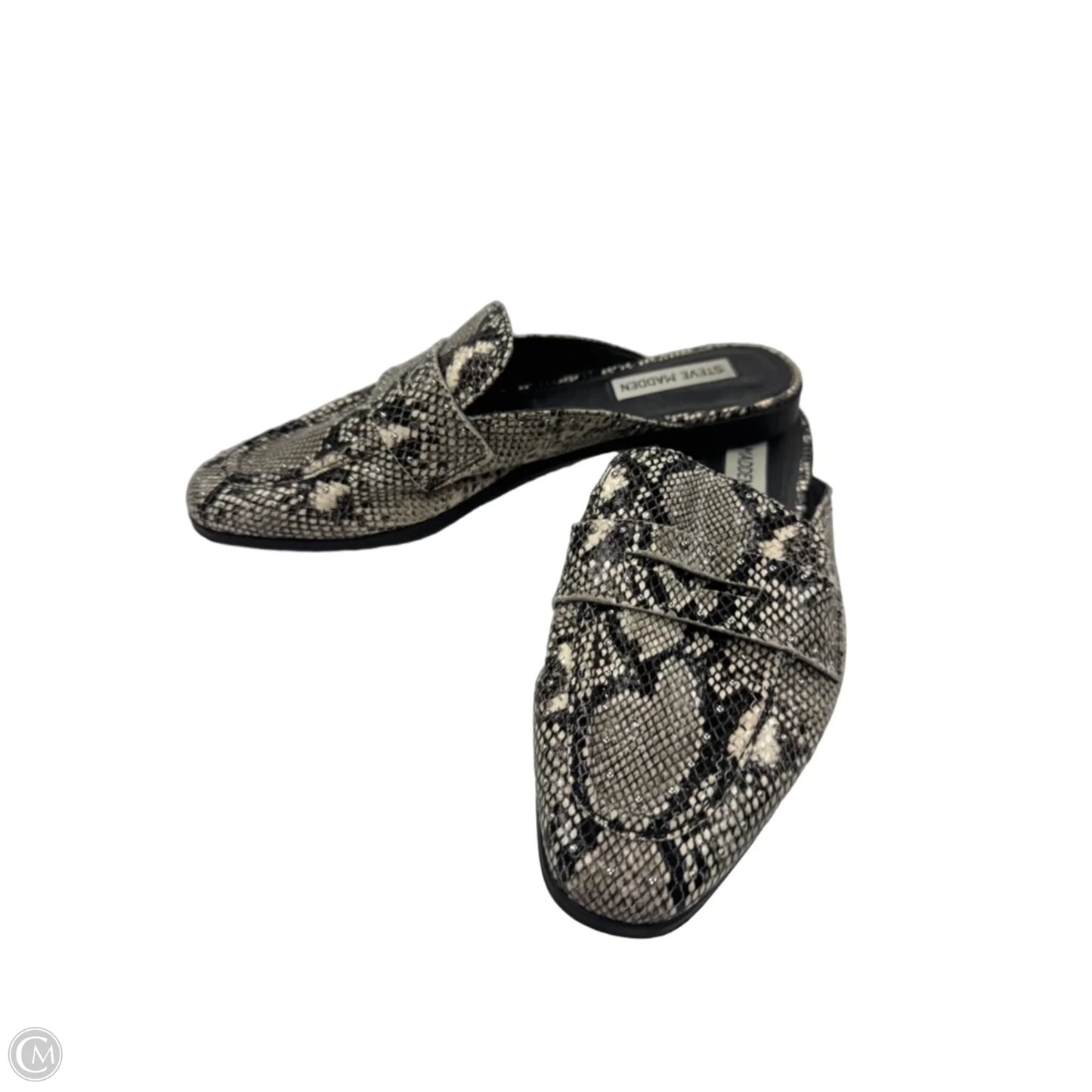 Shoes Flats By Steve Madden In Black & Cream, Size: 7.5