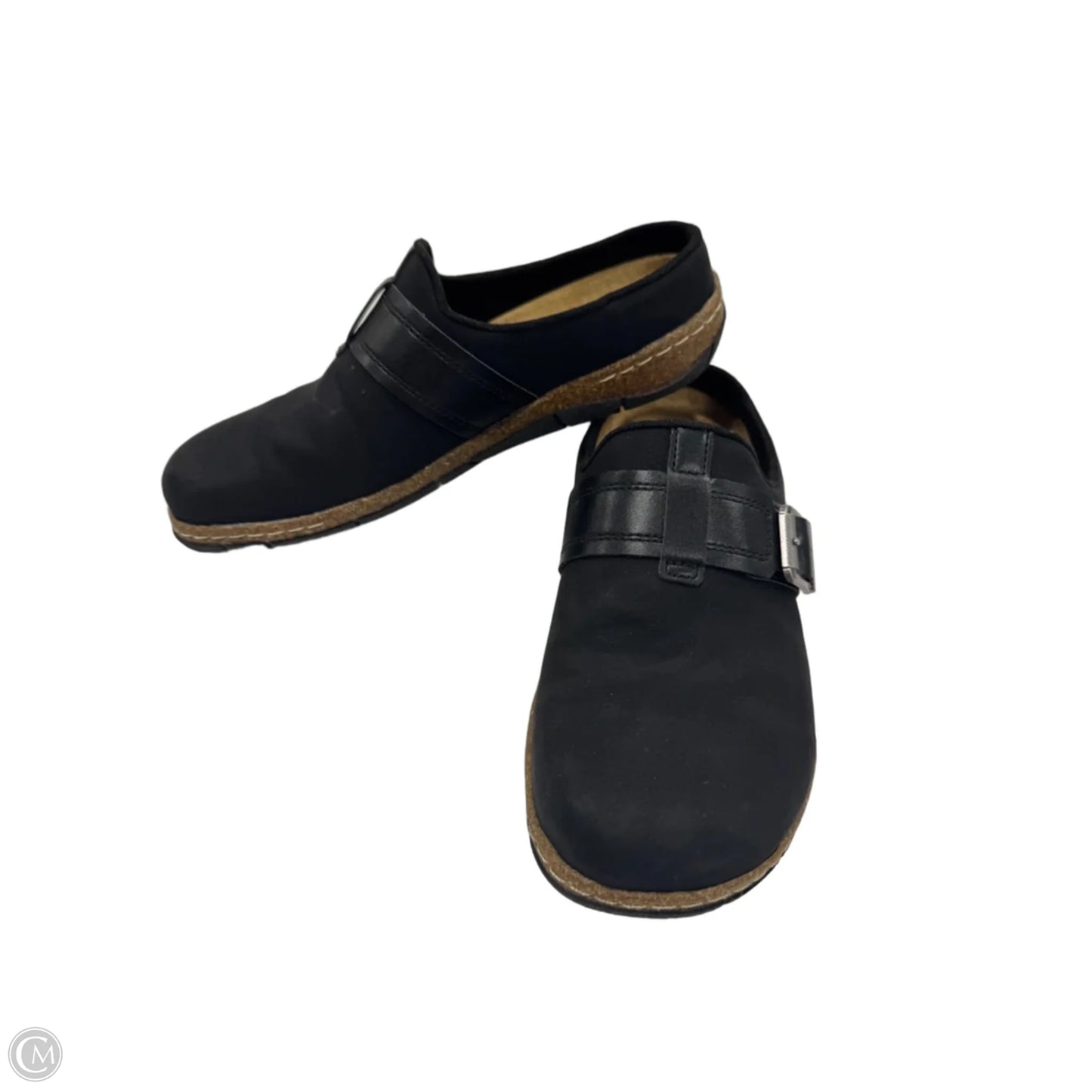 Shoes Flats By Earth In Black, Size: 6.5
