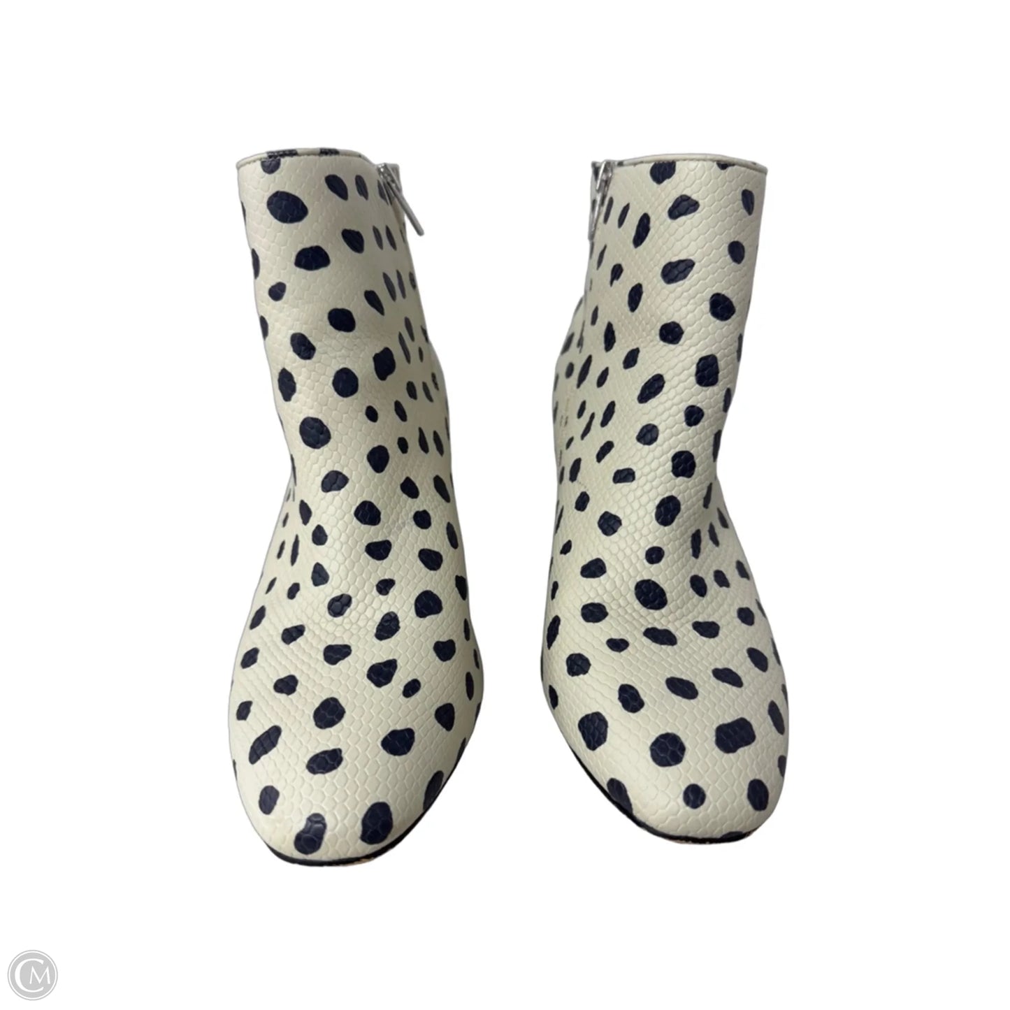 Boots Ankle Heels By Eloquii In Black & Cream, Size: 8