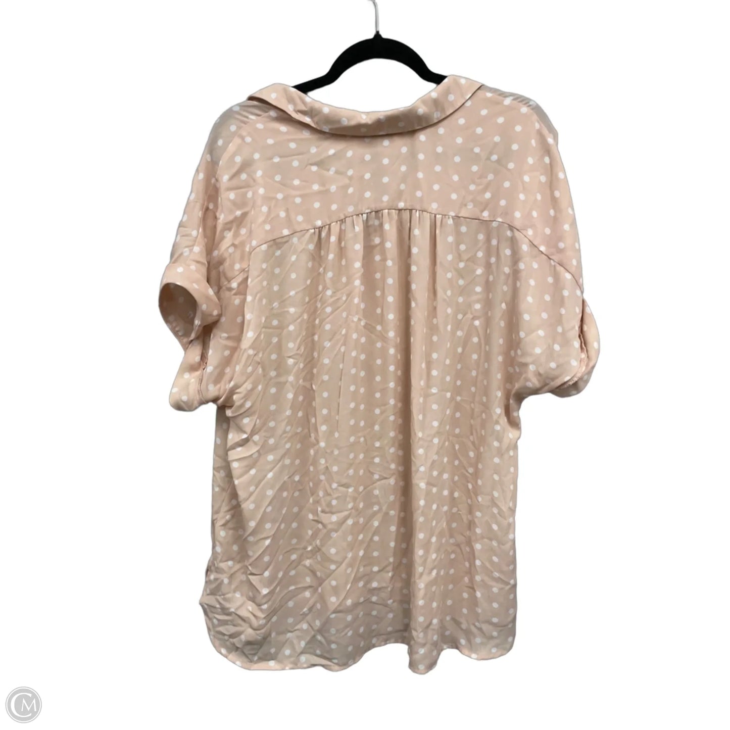 Blouse Short Sleeve By Dr2 In Cream & White, Size: Xl