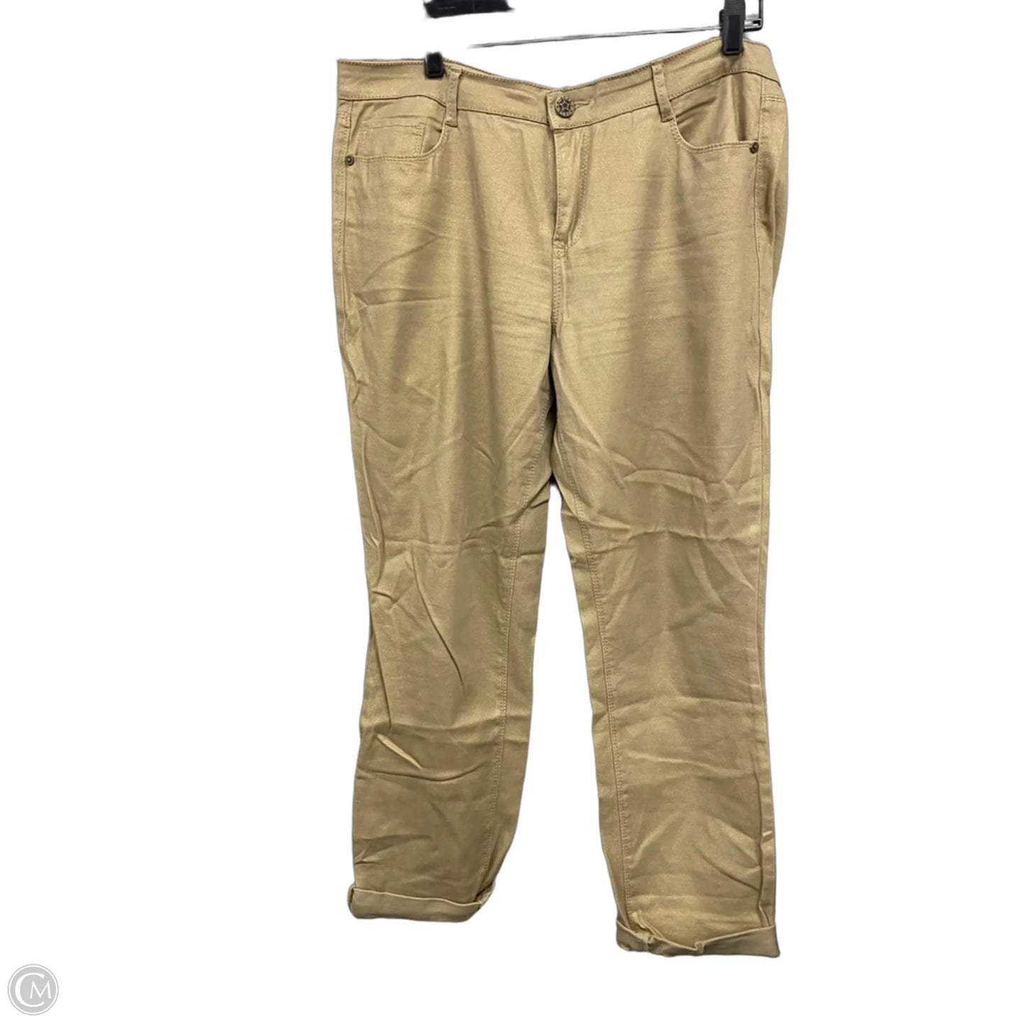 Pants Other By Clothes Mentor In Gold, Size: 12