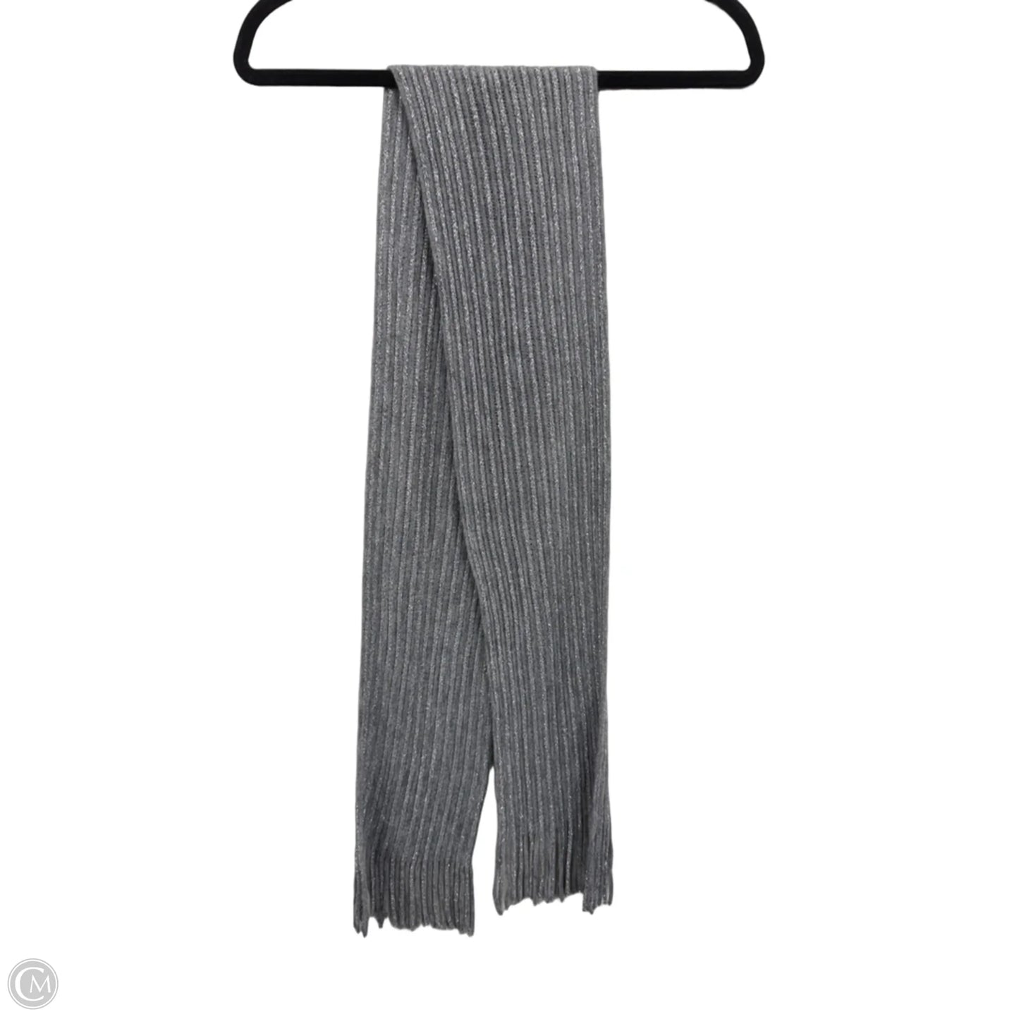 Scarf Winter By Clothes Mentor In Grey & Silver