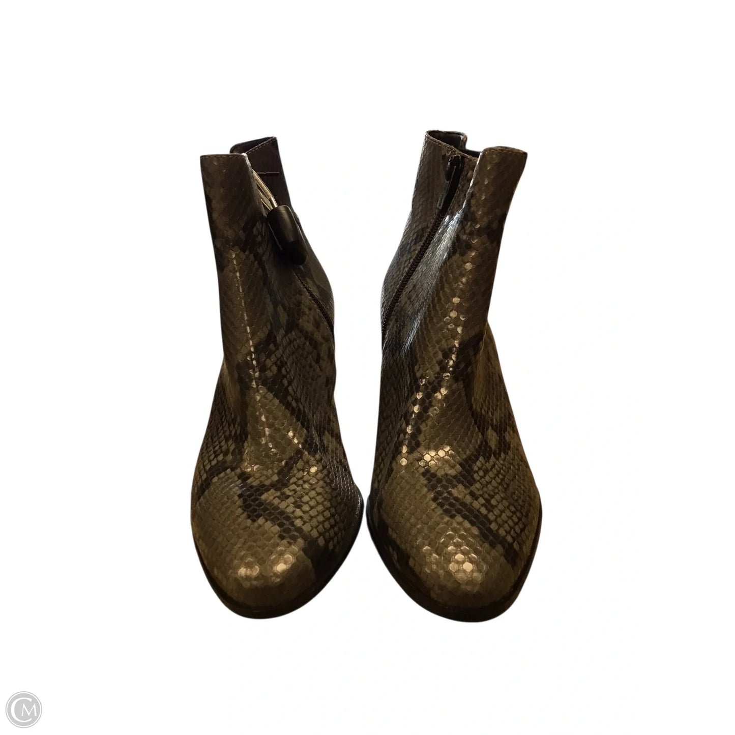 Boots Ankle Flats By Calvin Klein In Snakeskin Print, Size: 7.5