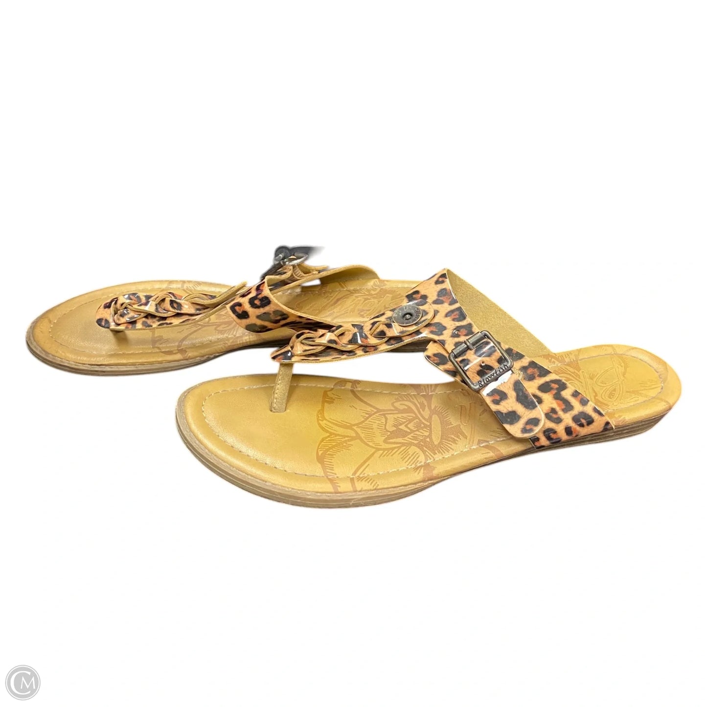 Sandals Flip Flops By Blowfish In Animal Print, Size: 10