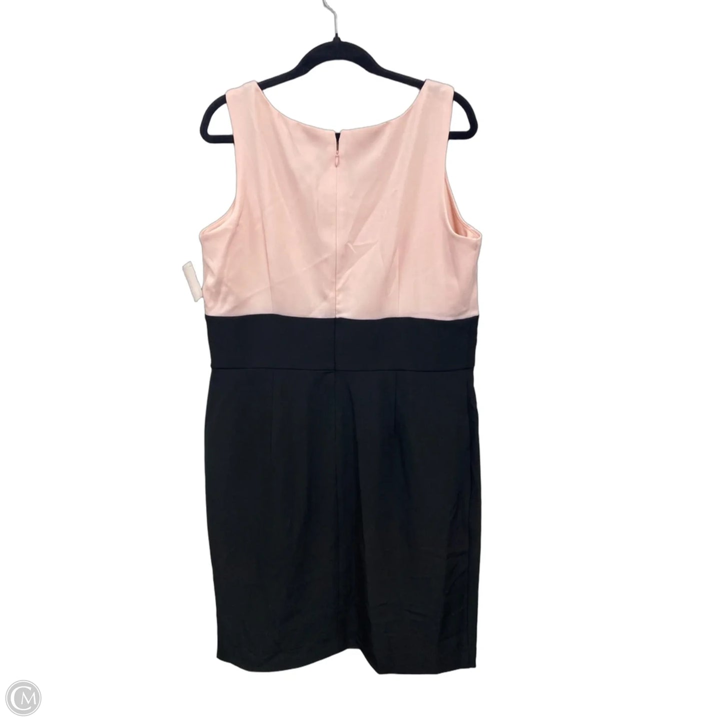 Dress Casual Short By Sandra Darren In Black & Pink, Size: 16