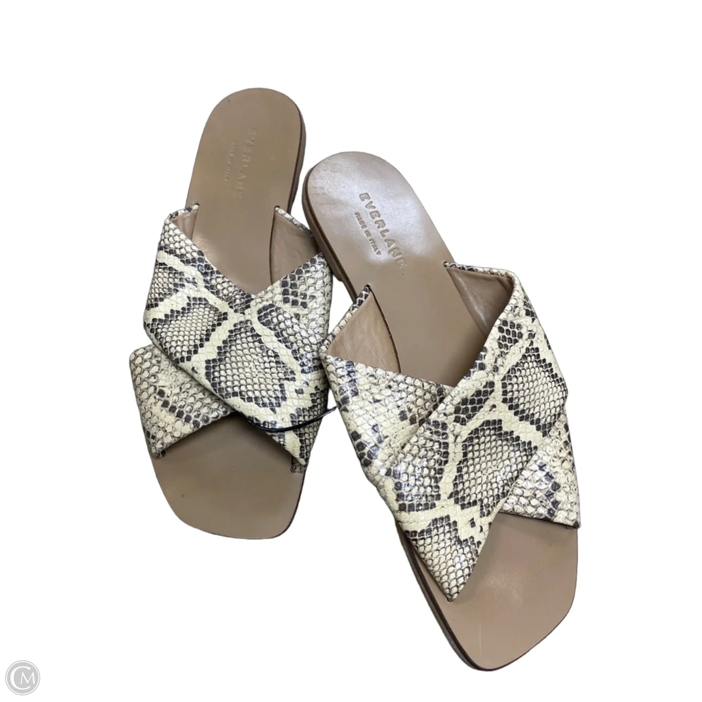Sandals Flats By Everlane In Snakeskin Print, Size: 8