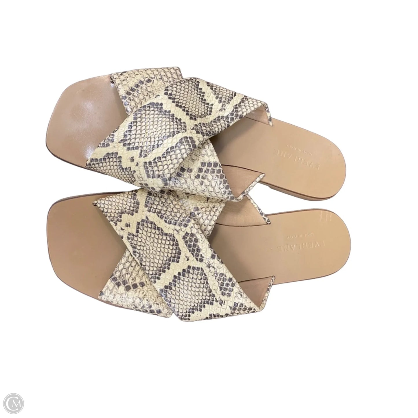 Sandals Flats By Everlane In Snakeskin Print, Size: 8